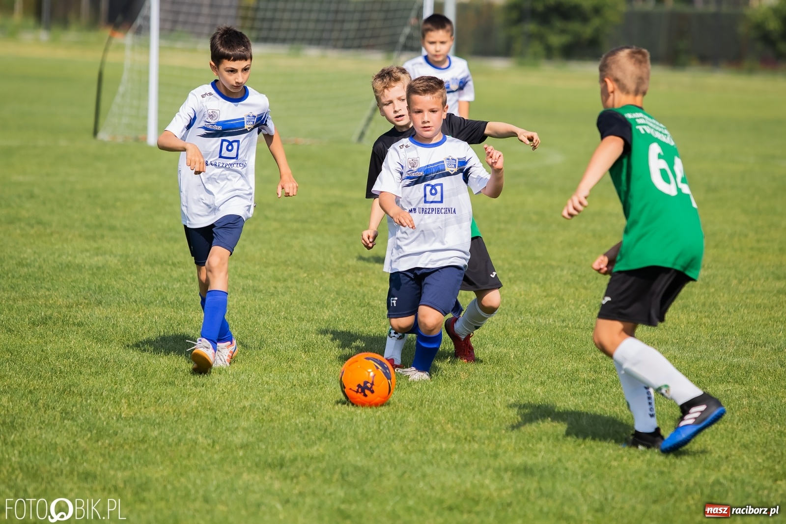 Zdjęcie w galerii na portalu naszraciborz.pl: Eliminacje do turnieju Silesia Cup w Studziennej [FOTO] wiadomości z regionu