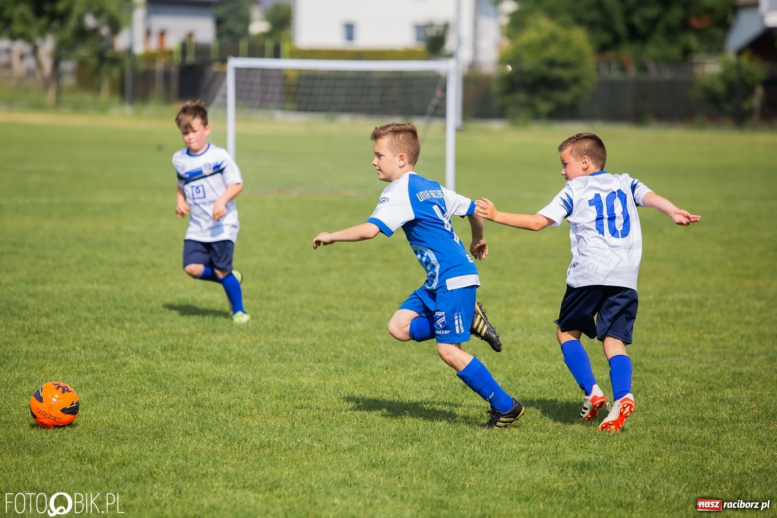 Zdjęcie w galerii na portalu naszraciborz.pl: Eliminacje do turnieju Silesia Cup w Studziennej [FOTO] wiadomości z regionu