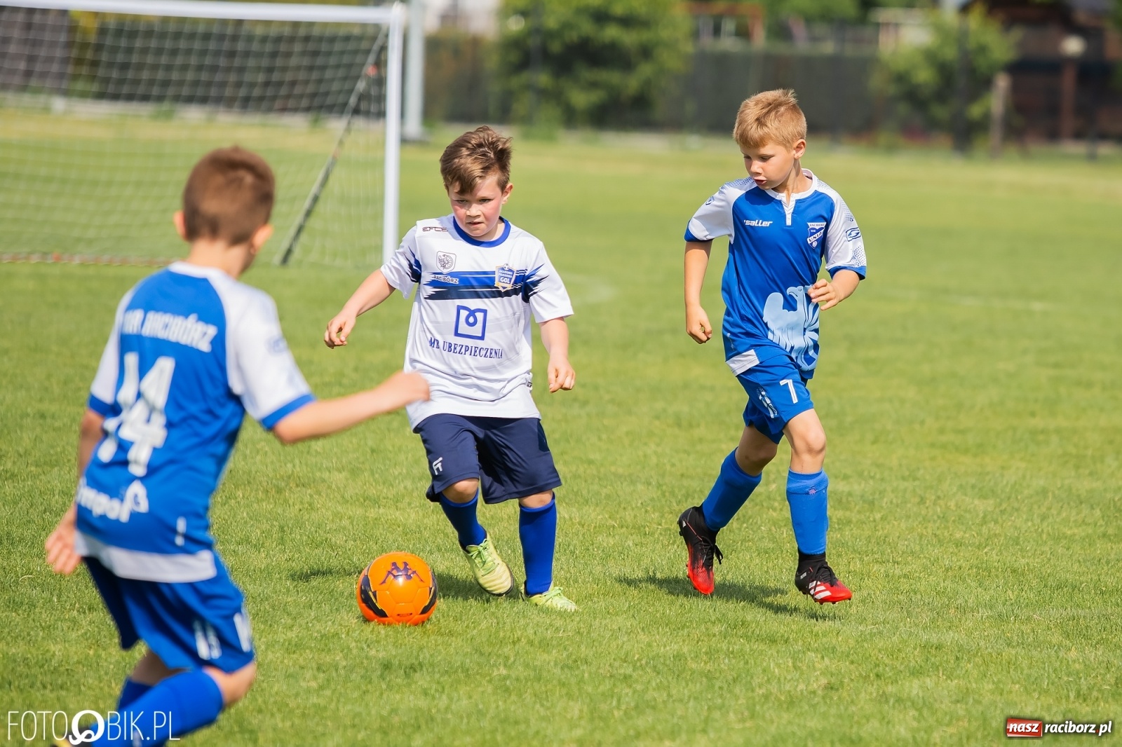 Zdjęcie w galerii na portalu naszraciborz.pl: Eliminacje do turnieju Silesia Cup w Studziennej [FOTO] wiadomości z regionu