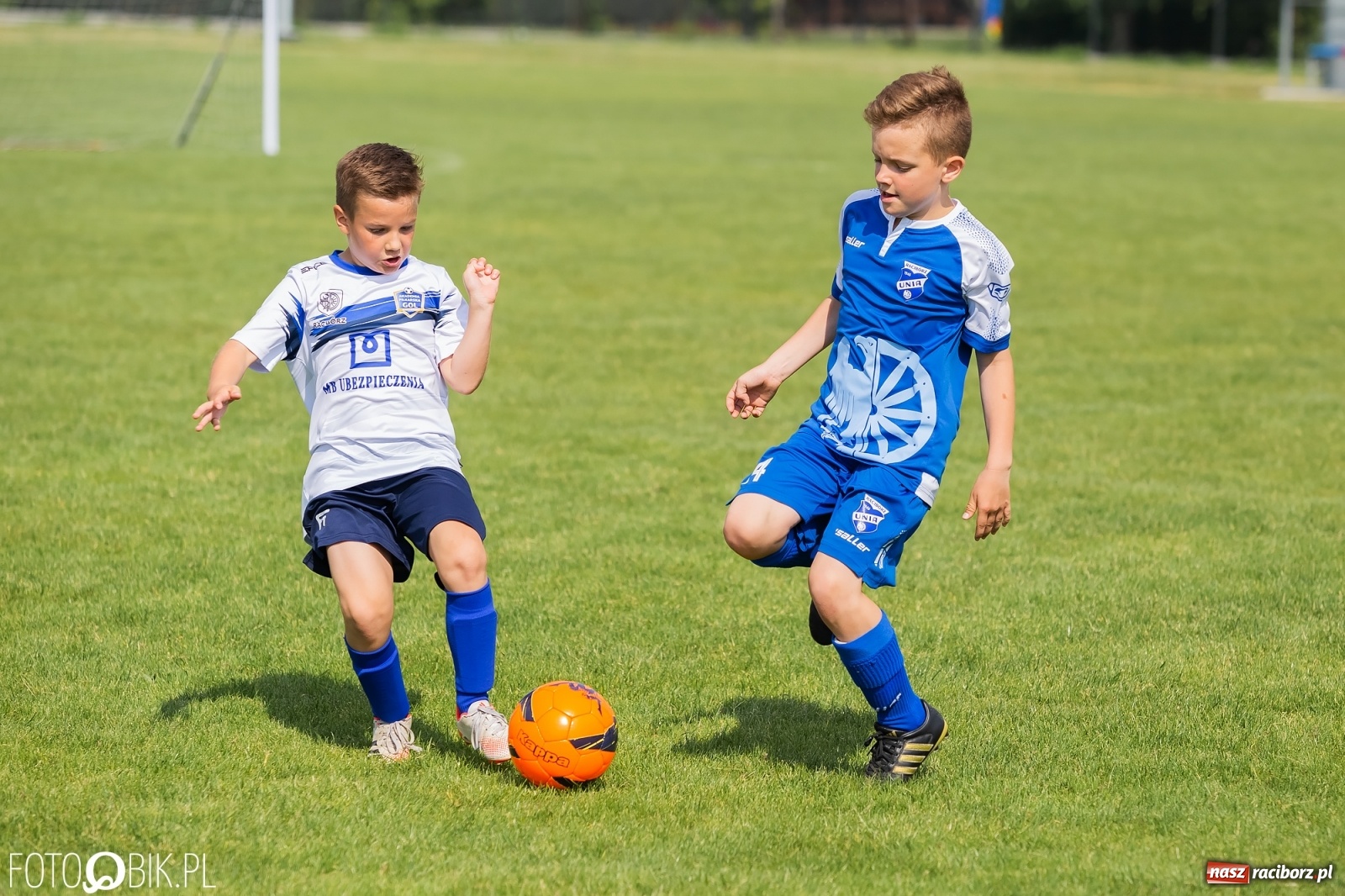 Zdjęcie w galerii na portalu naszraciborz.pl: Eliminacje do turnieju Silesia Cup w Studziennej [FOTO] wiadomości z regionu