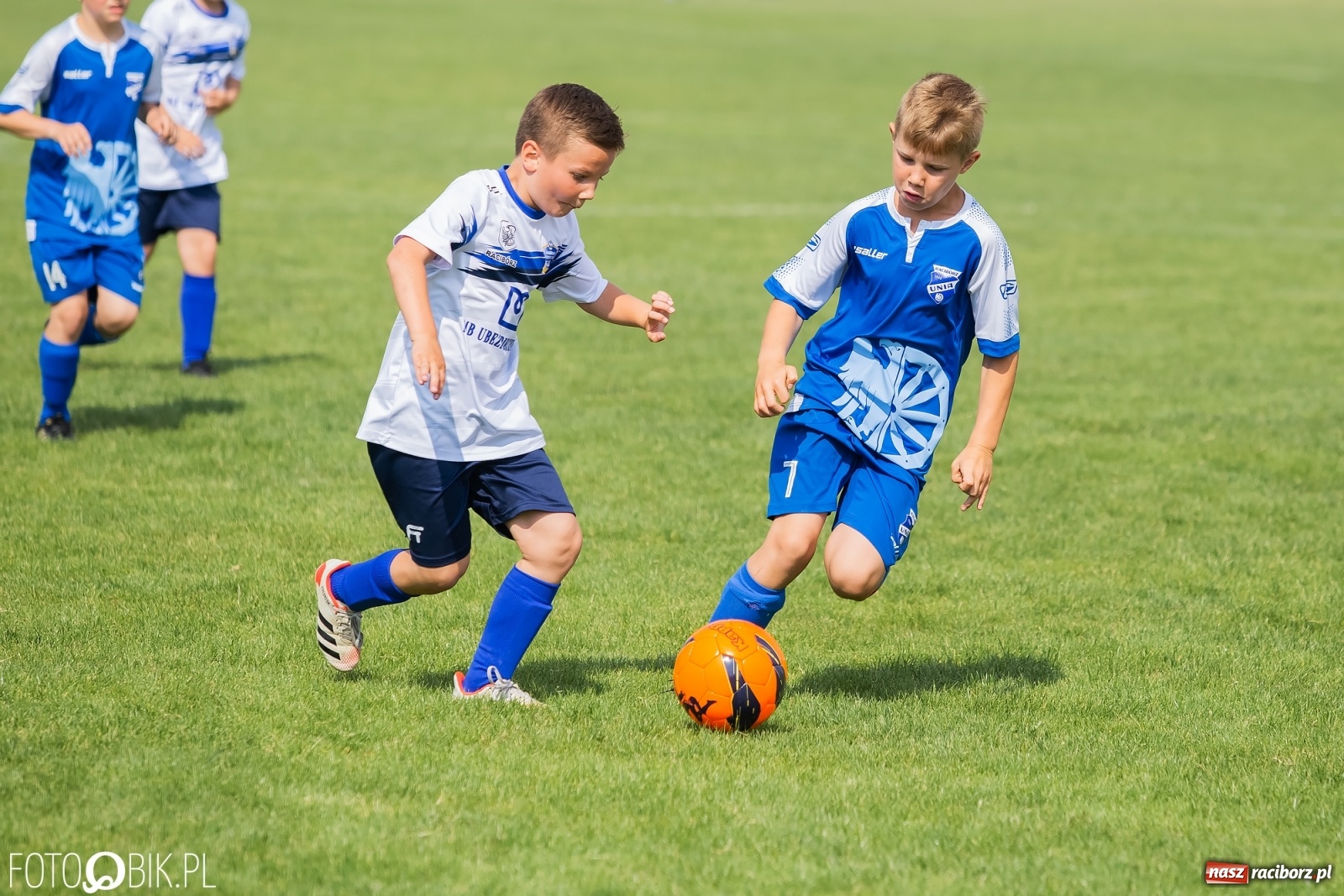 Zdjęcie w galerii na portalu naszraciborz.pl: Eliminacje do turnieju Silesia Cup w Studziennej [FOTO] wiadomości z regionu