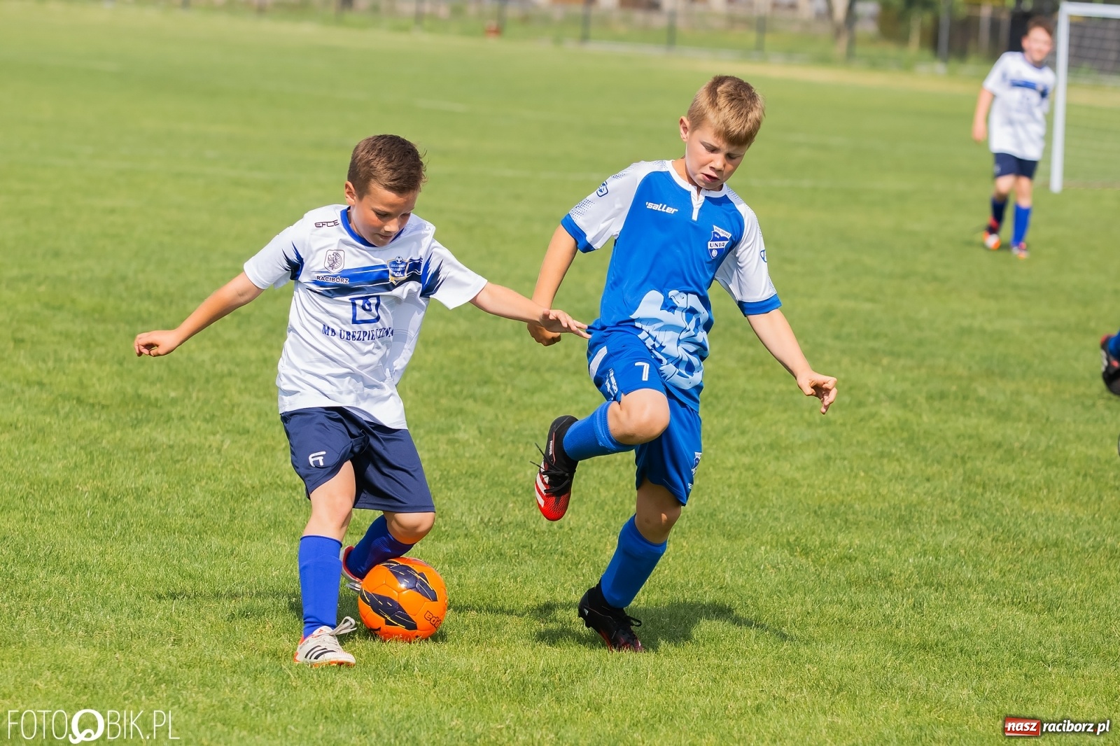 Zdjęcie w galerii na portalu naszraciborz.pl: Eliminacje do turnieju Silesia Cup w Studziennej [FOTO] wiadomości z regionu
