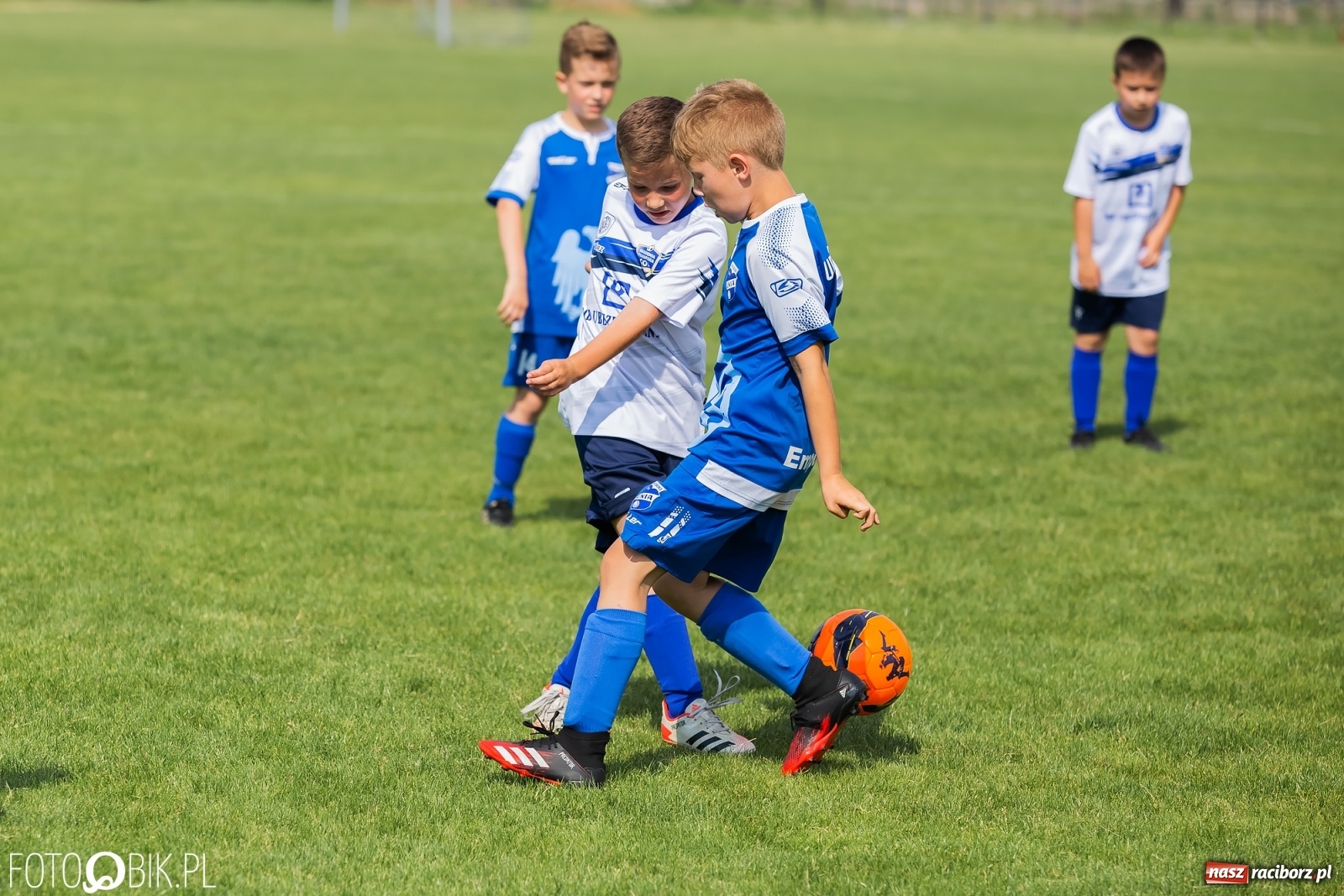 Zdjęcie w galerii na portalu naszraciborz.pl: Eliminacje do turnieju Silesia Cup w Studziennej [FOTO] wiadomości z regionu
