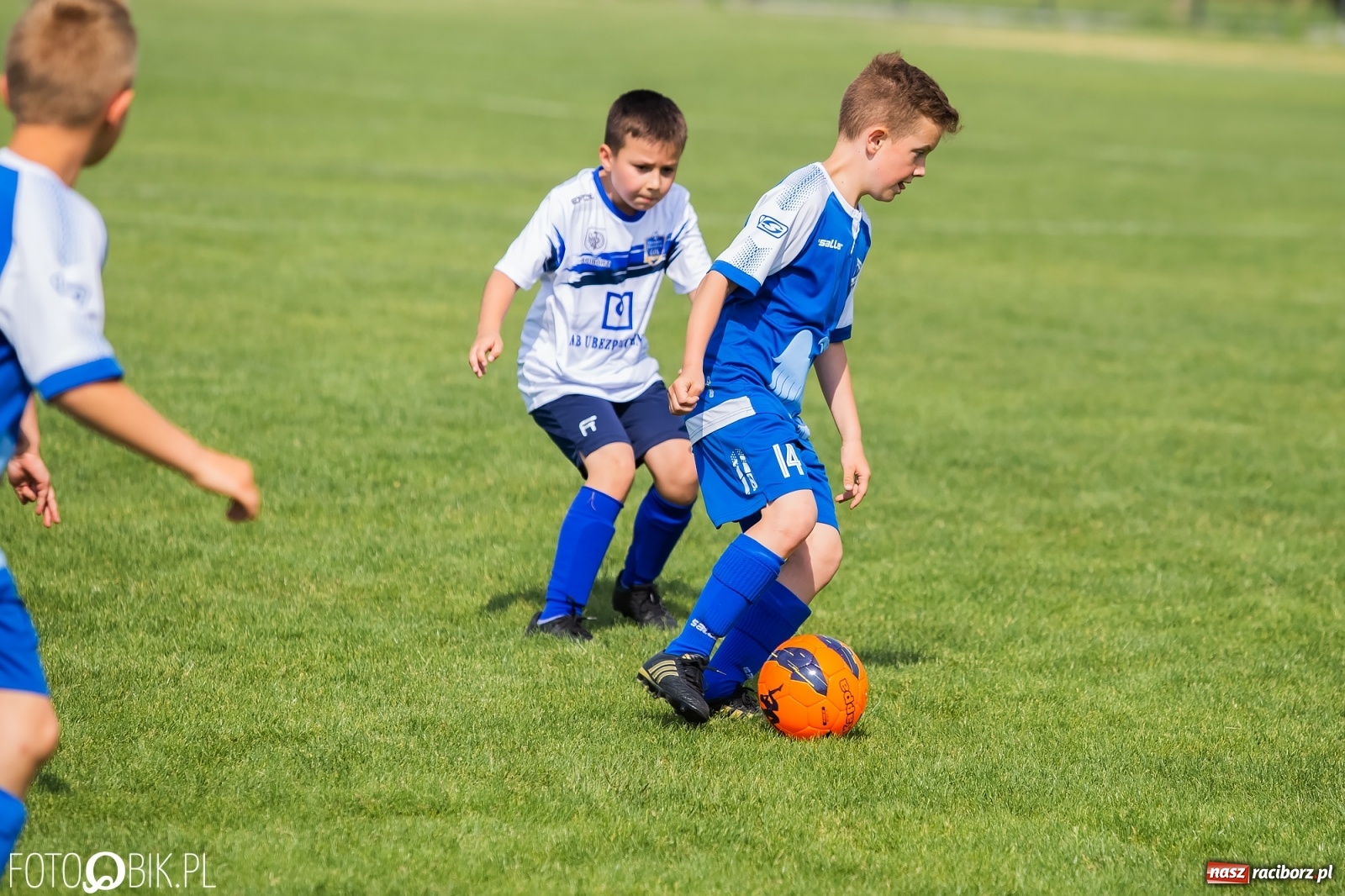 Zdjęcie w galerii na portalu naszraciborz.pl: Eliminacje do turnieju Silesia Cup w Studziennej [FOTO] wiadomości z regionu