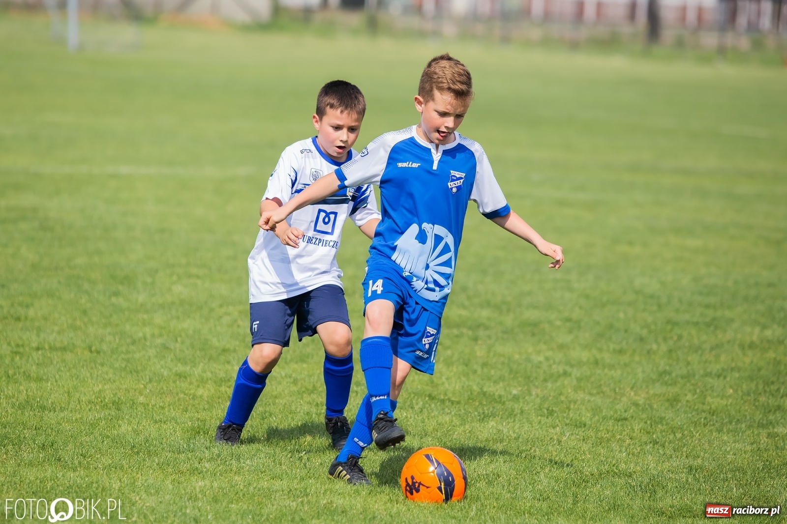 Zdjęcie w galerii na portalu naszraciborz.pl: Eliminacje do turnieju Silesia Cup w Studziennej [FOTO] wiadomości z regionu