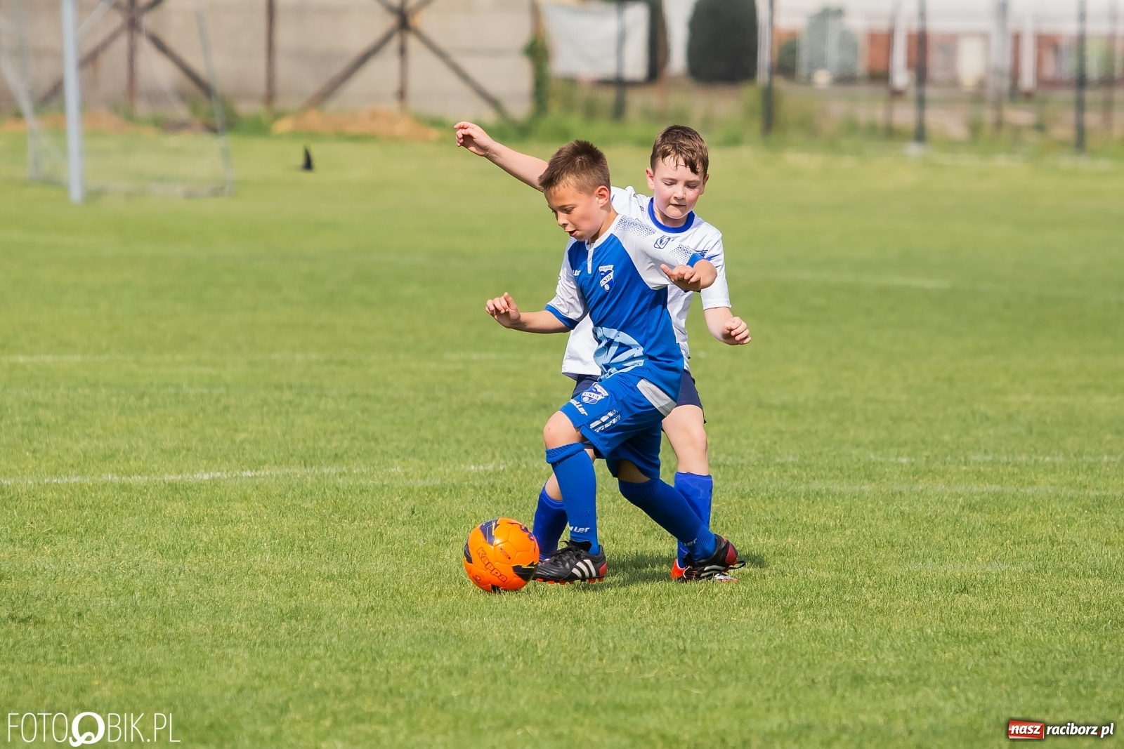 Zdjęcie w galerii na portalu naszraciborz.pl: Eliminacje do turnieju Silesia Cup w Studziennej [FOTO] wiadomości z regionu