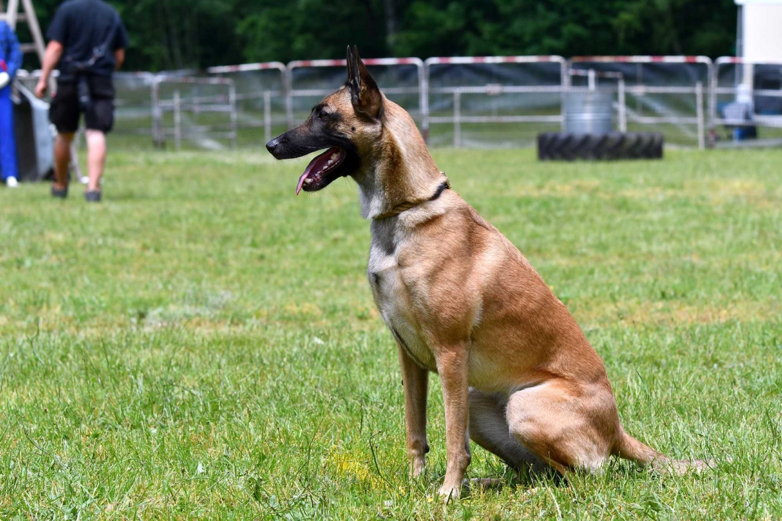 Zdjęcie w galerii na portalu naszraciborz.pl: Polacy i Czesi zorganizowali w Babicach zawody w mondioringu wiadomości z regionu