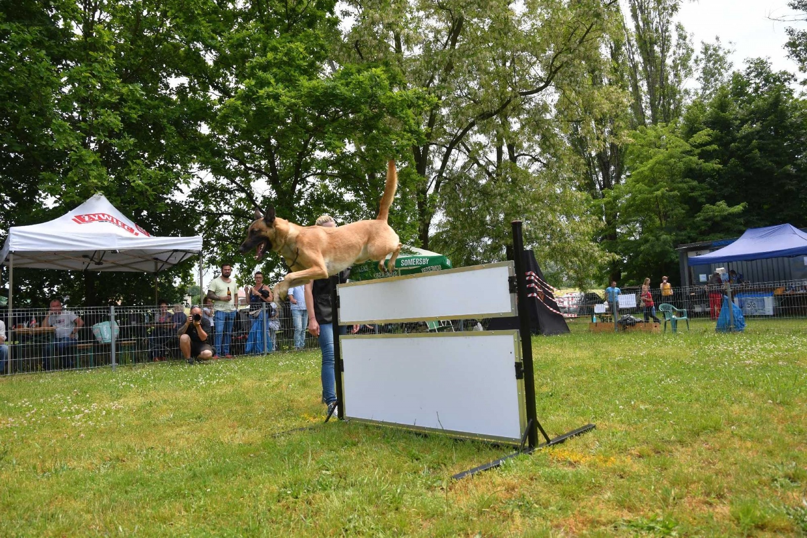 Zdjęcie w galerii na portalu naszraciborz.pl: Polacy i Czesi zorganizowali w Babicach zawody w mondioringu wiadomości z regionu