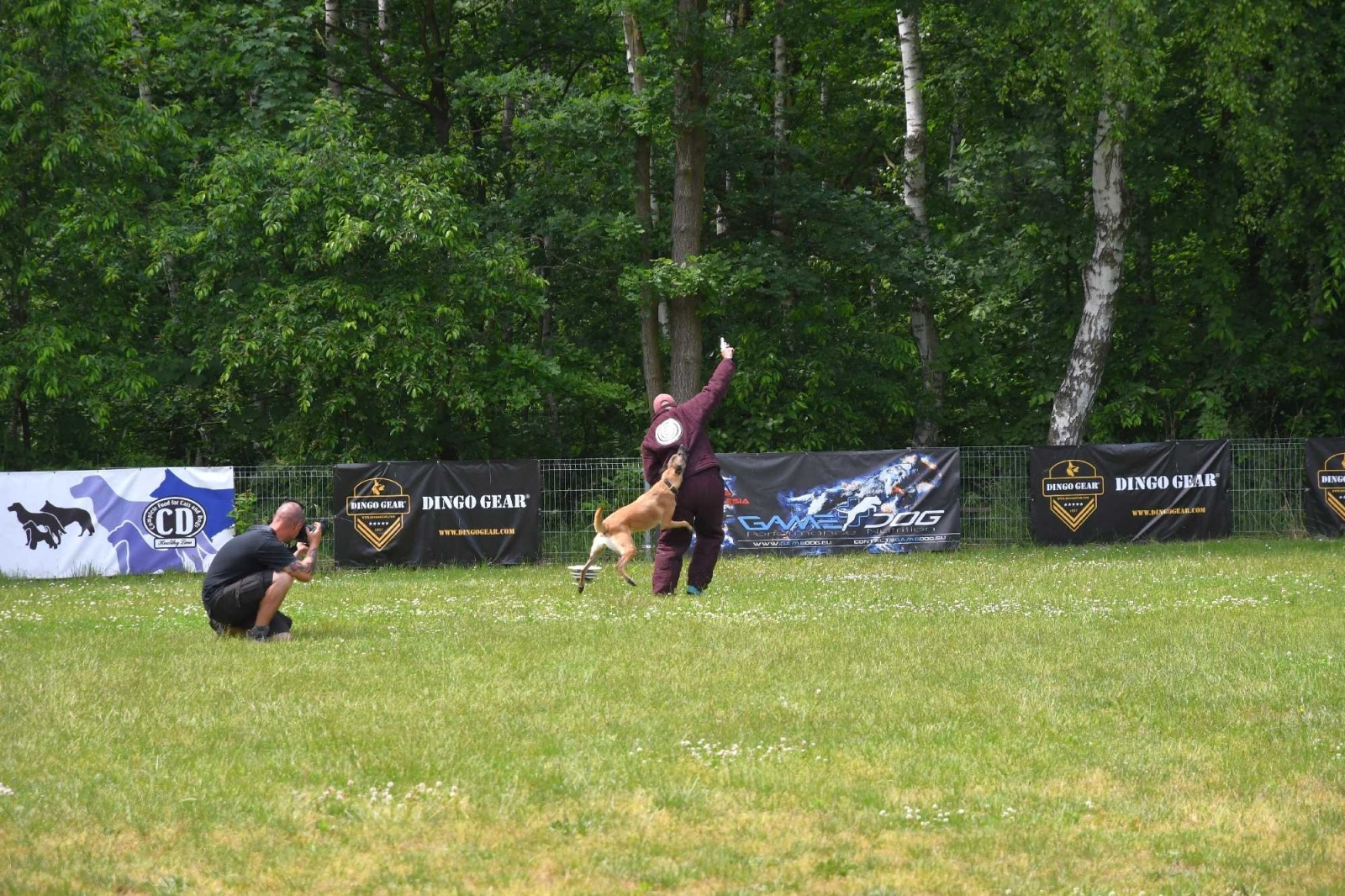 Zdjęcie w galerii na portalu naszraciborz.pl: Polacy i Czesi zorganizowali w Babicach zawody w mondioringu wiadomości z regionu