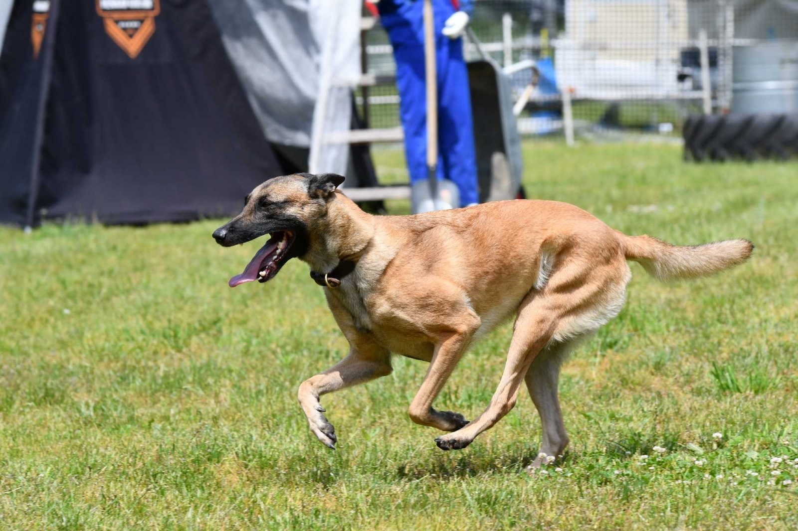 Zdjęcie w galerii na portalu naszraciborz.pl: Polacy i Czesi zorganizowali w Babicach zawody w mondioringu wiadomości z regionu