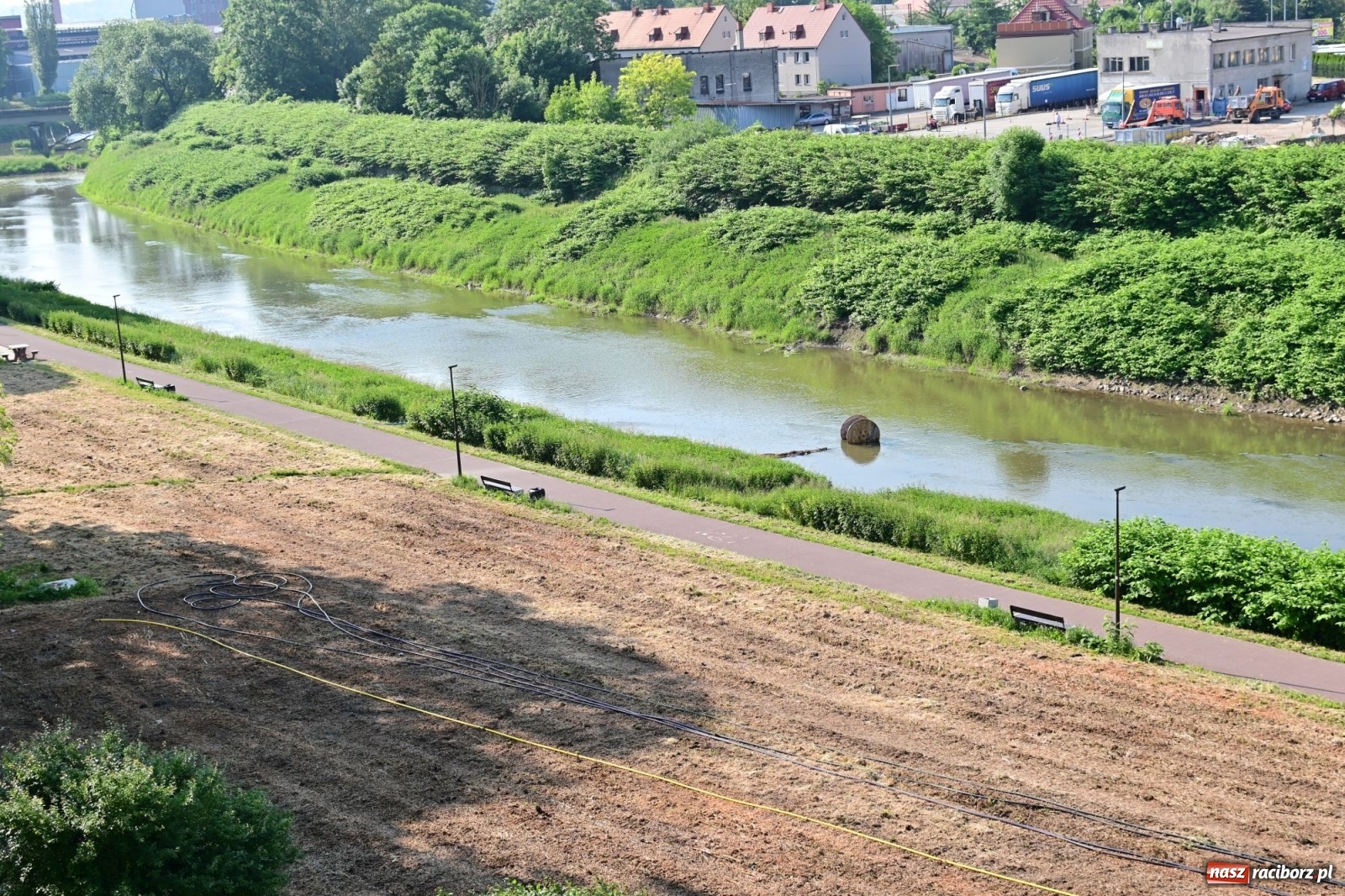 Zdjęcie w galerii na portalu naszraciborz.pl: Racibórz. Głupota ludzka nie zna granic wiadomości z regionu