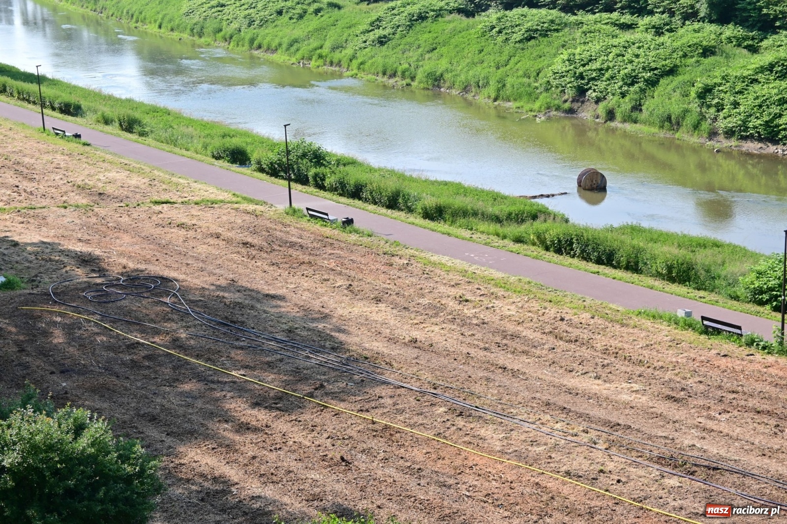 Zdjęcie w galerii na portalu naszraciborz.pl: Racibórz. Głupota ludzka nie zna granic wiadomości z regionu
