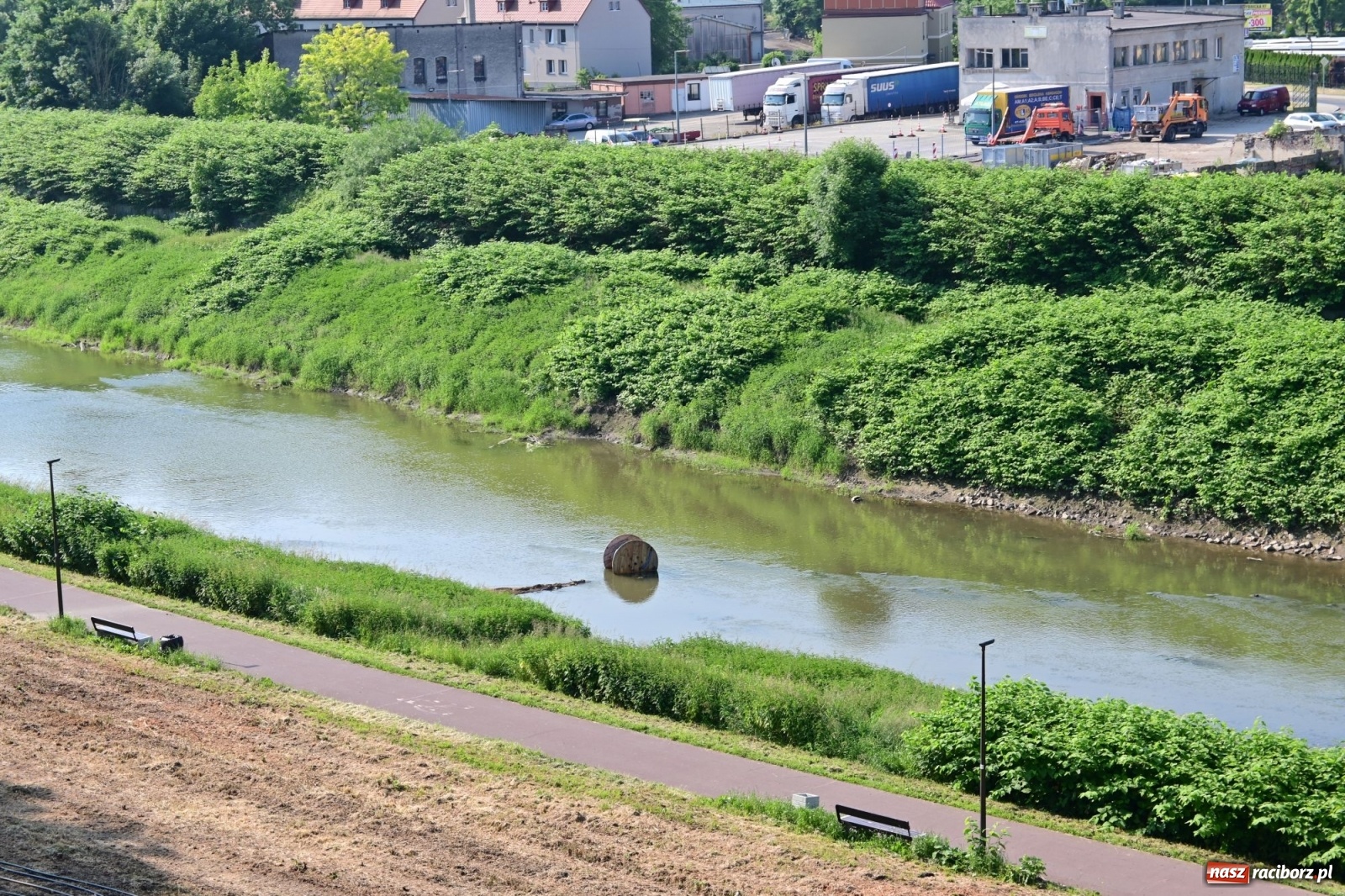 Zdjęcie w galerii na portalu naszraciborz.pl: Racibórz. Głupota ludzka nie zna granic wiadomości z regionu