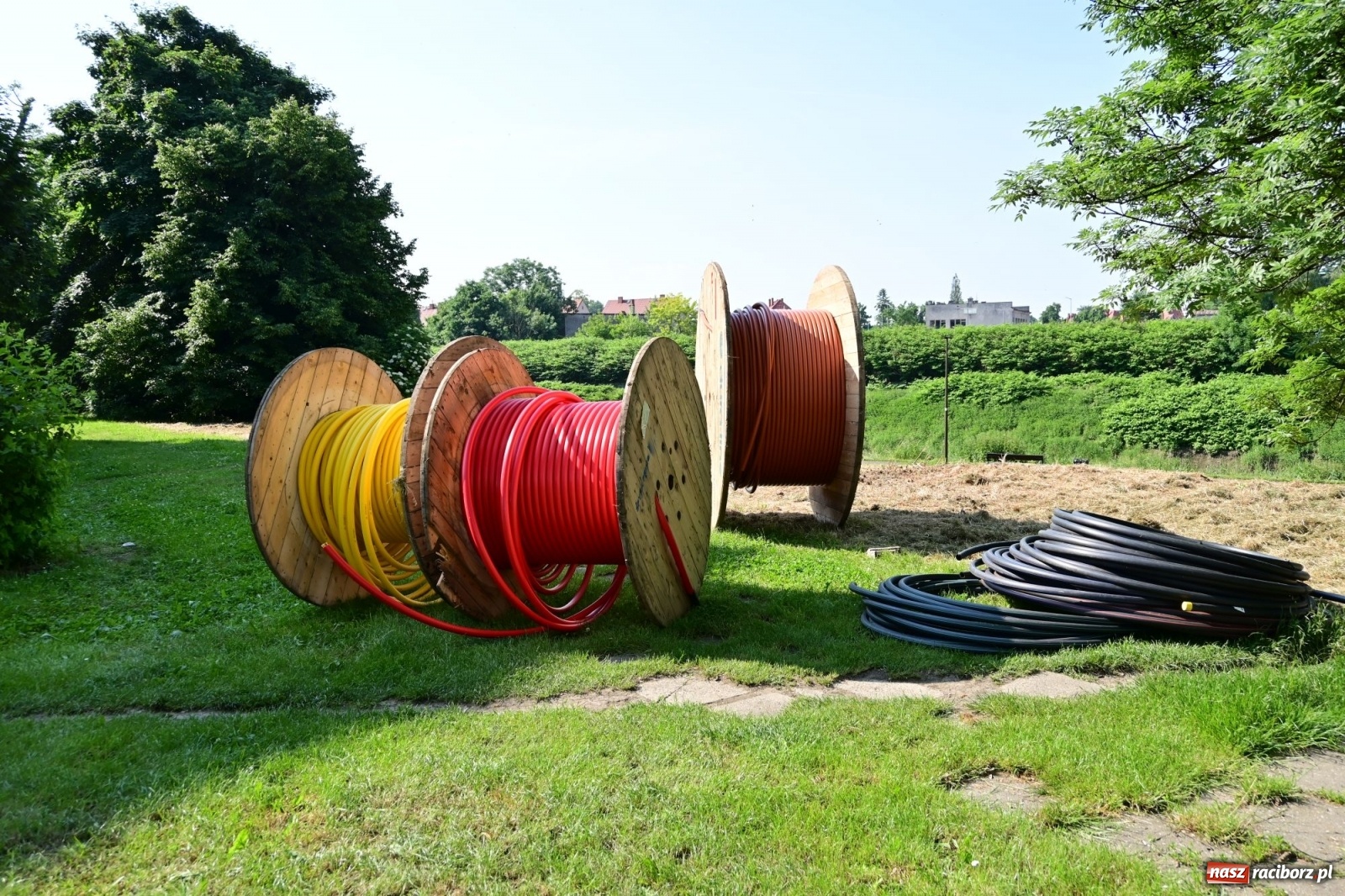 Zdjęcie w galerii na portalu naszraciborz.pl: Racibórz. Głupota ludzka nie zna granic wiadomości z regionu