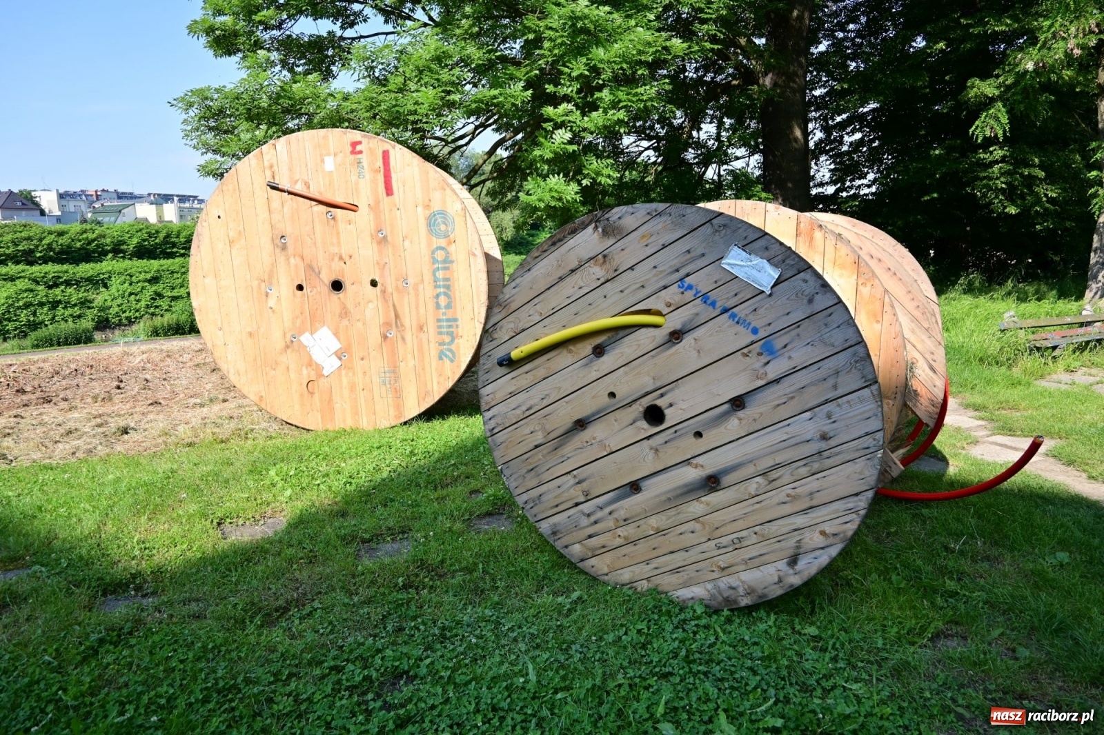 Zdjęcie w galerii na portalu naszraciborz.pl: Racibórz. Głupota ludzka nie zna granic wiadomości z regionu