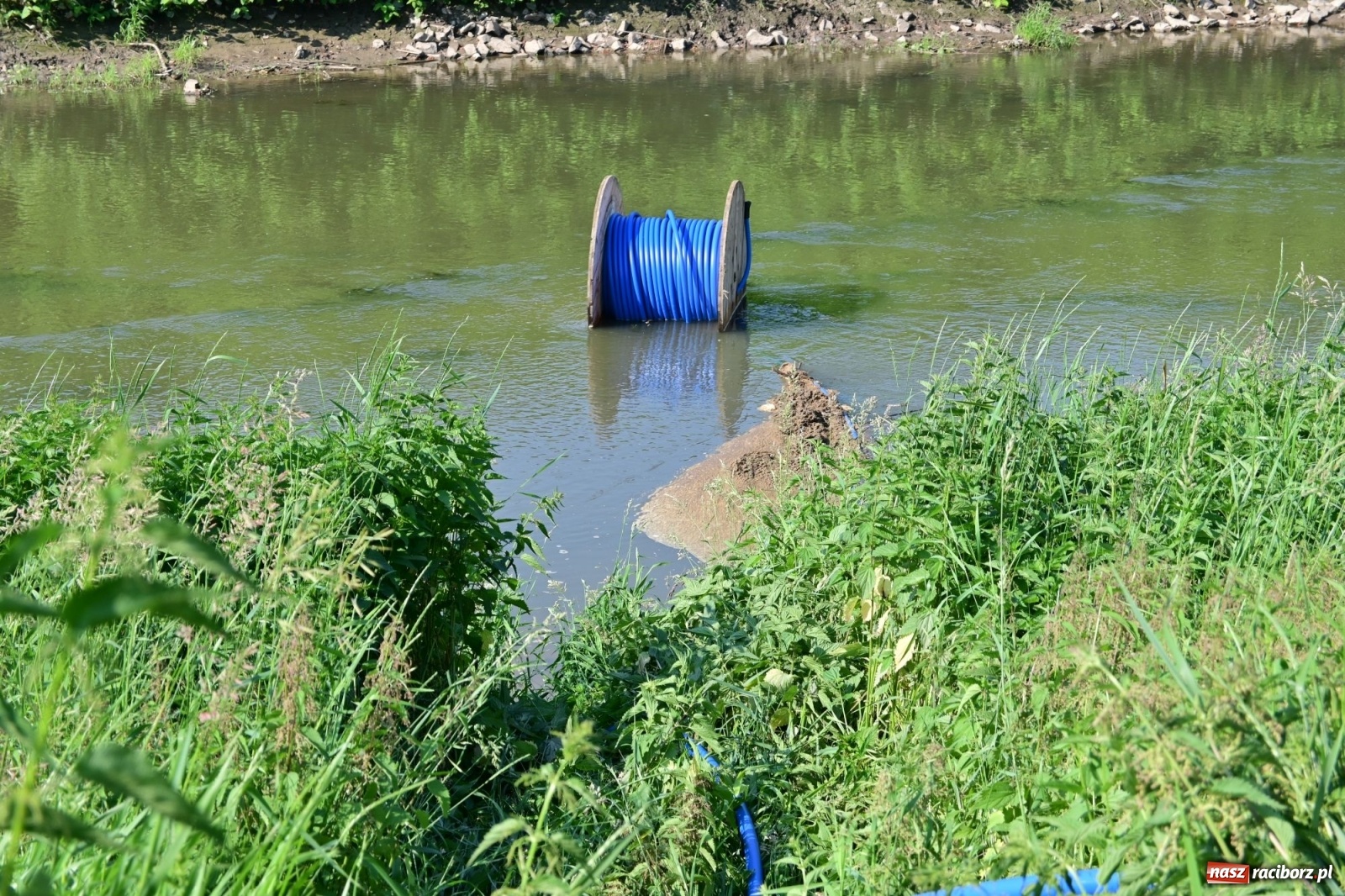 Zdjęcie w galerii na portalu naszraciborz.pl: Racibórz. Głupota ludzka nie zna granic wiadomości z regionu