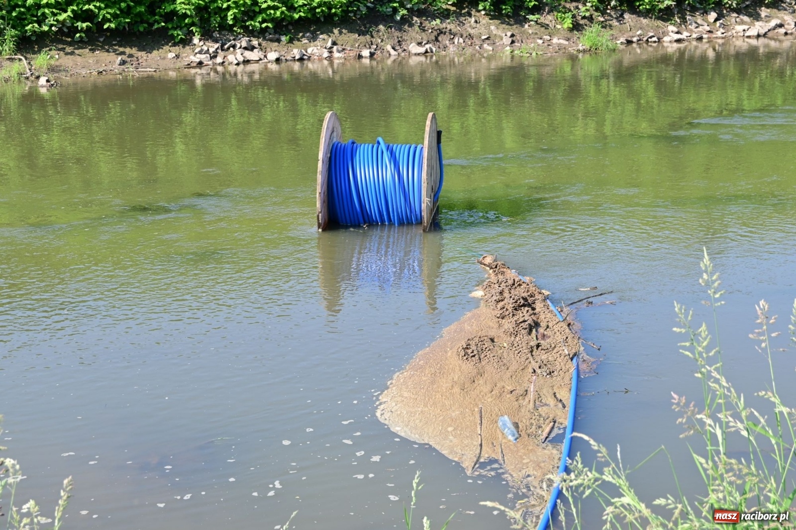 Zdjęcie w galerii na portalu naszraciborz.pl: Racibórz. Głupota ludzka nie zna granic wiadomości z regionu