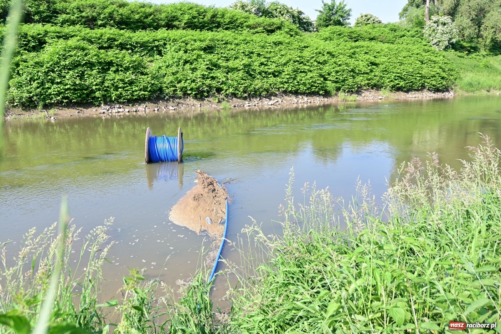 Zdjęcie w galerii na portalu naszraciborz.pl: Racibórz. Głupota ludzka nie zna granic wiadomości z regionu