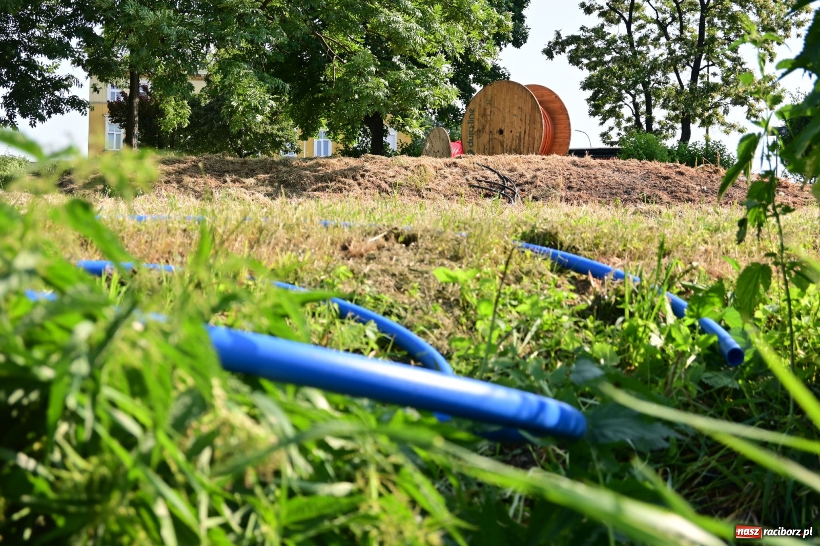 Zdjęcie w galerii na portalu naszraciborz.pl: Racibórz. Głupota ludzka nie zna granic wiadomości z regionu