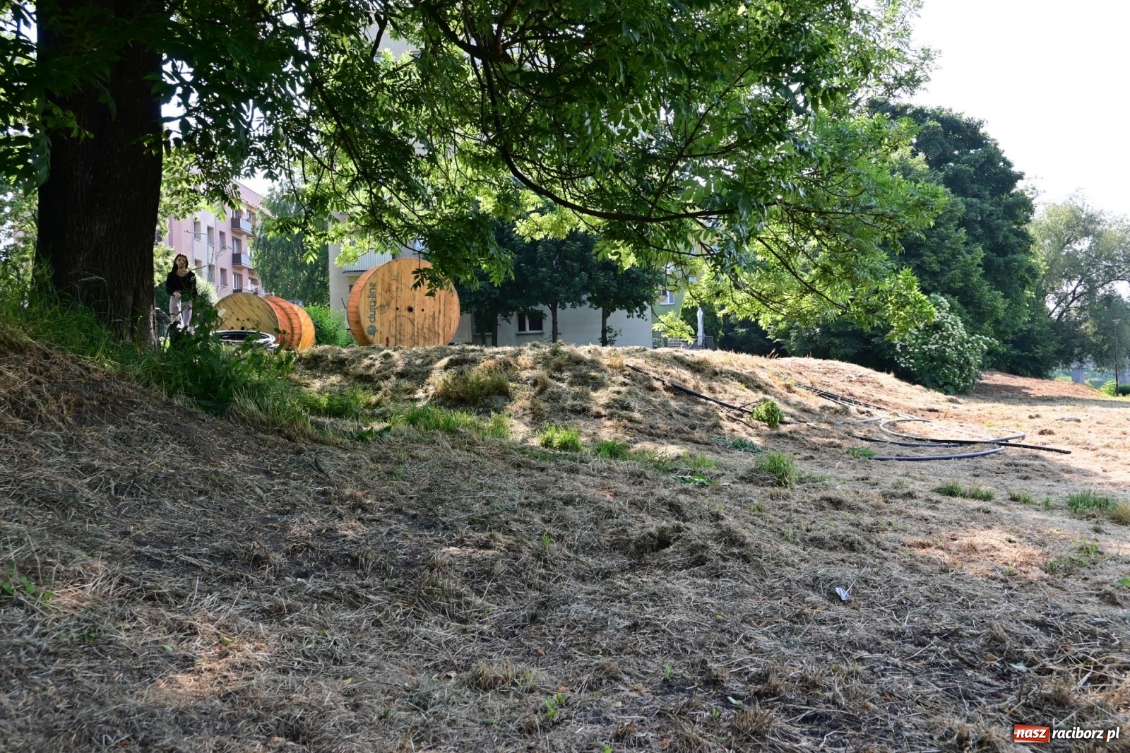 Zdjęcie w galerii na portalu naszraciborz.pl: Racibórz. Głupota ludzka nie zna granic wiadomości z regionu