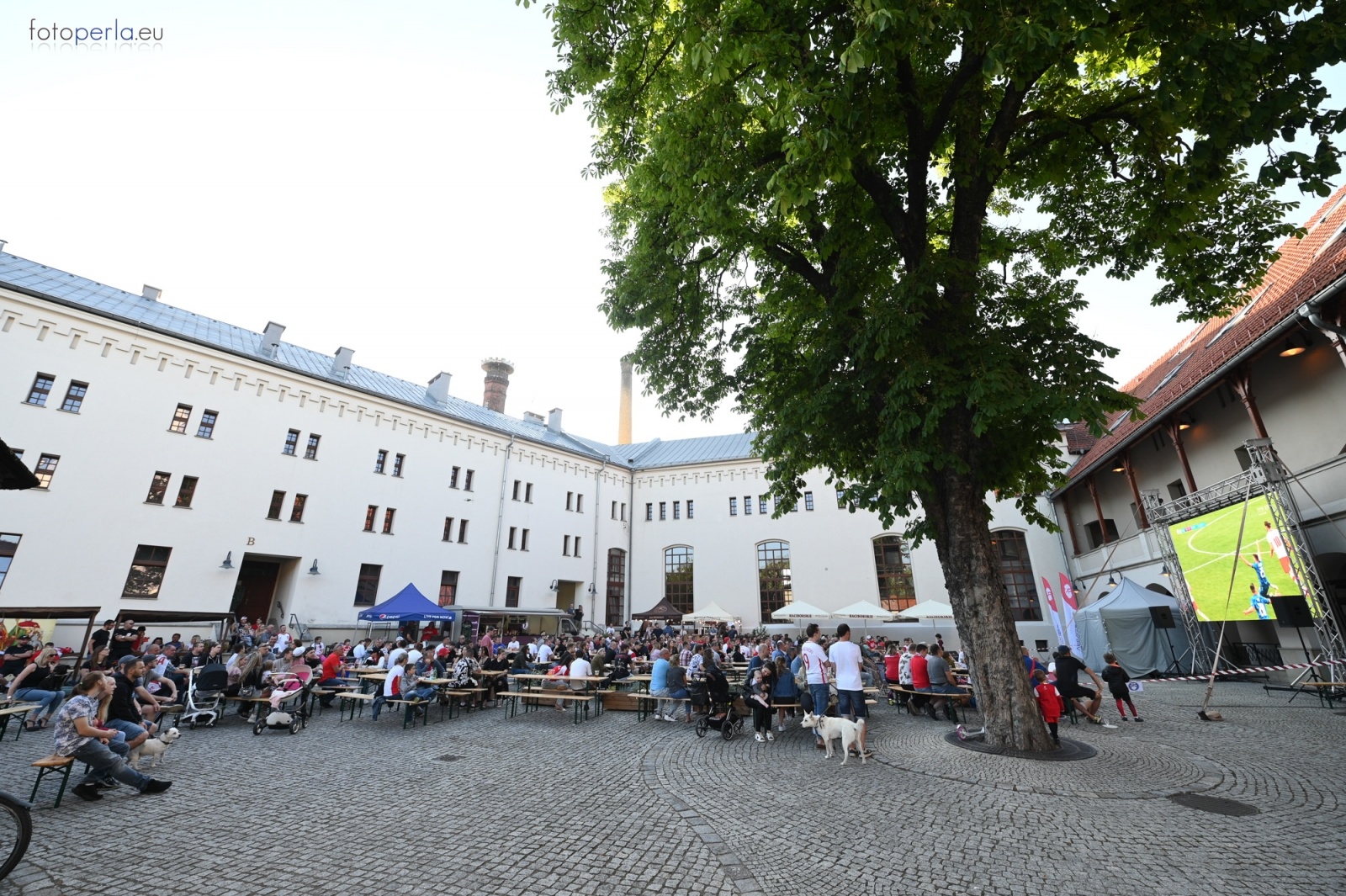 Zdjęcie w galerii na portalu naszraciborz.pl: Raciborskie strefy kibica wzorowe. O wynik nie pytajcie! [FOTO Z DRONA] wiadomości z regionu