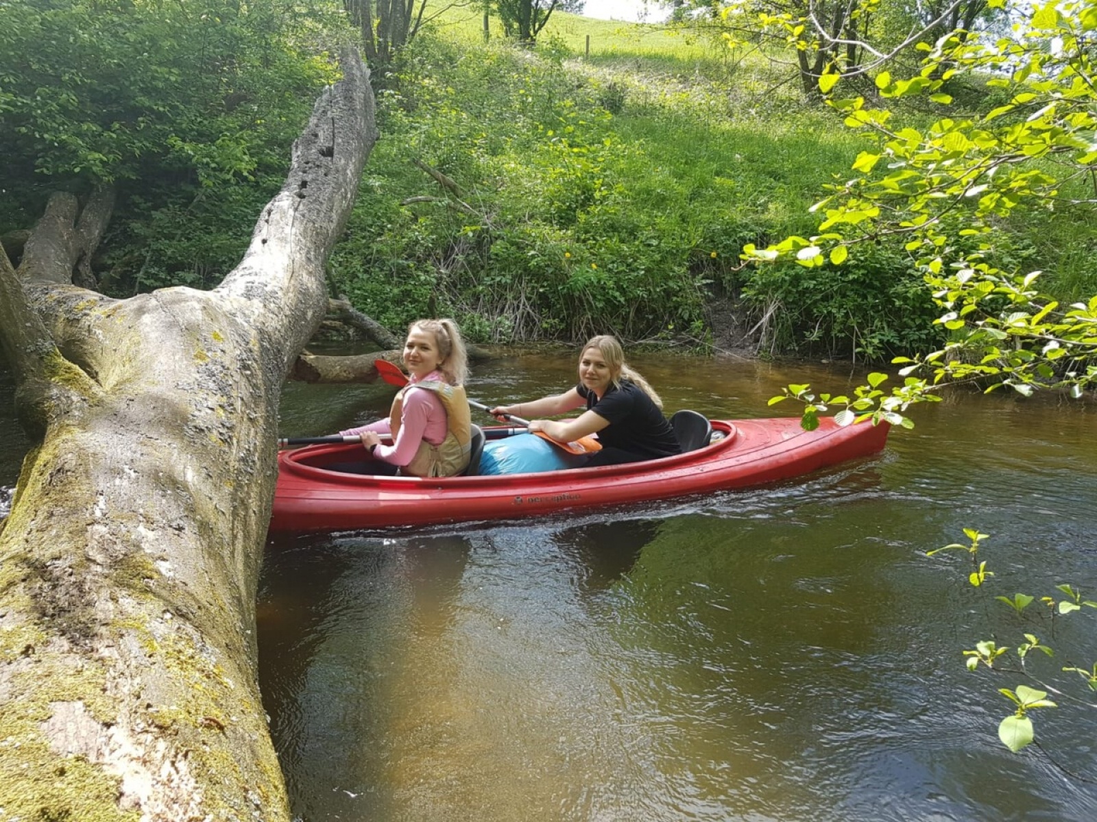 Zdjęcie w galerii na portalu naszraciborz.pl: Turystyka i rekreacja – aktywne studia w PWSZ Racibórz wiadomości z regionu