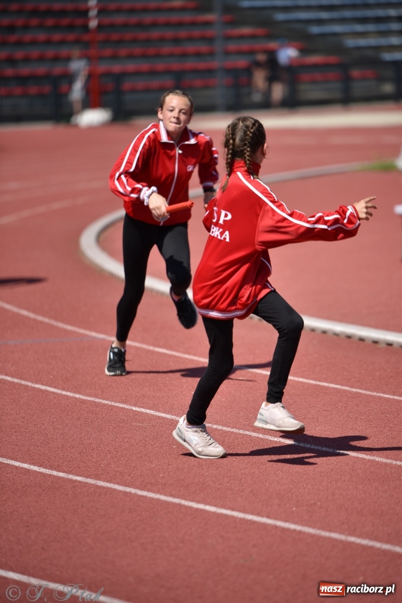 Zdjęcie w galerii na portalu naszraciborz.pl: OSP Samborowice wygrały na zawodach wojewódzkich CTIF w Raciborzu wiadomości z regionu