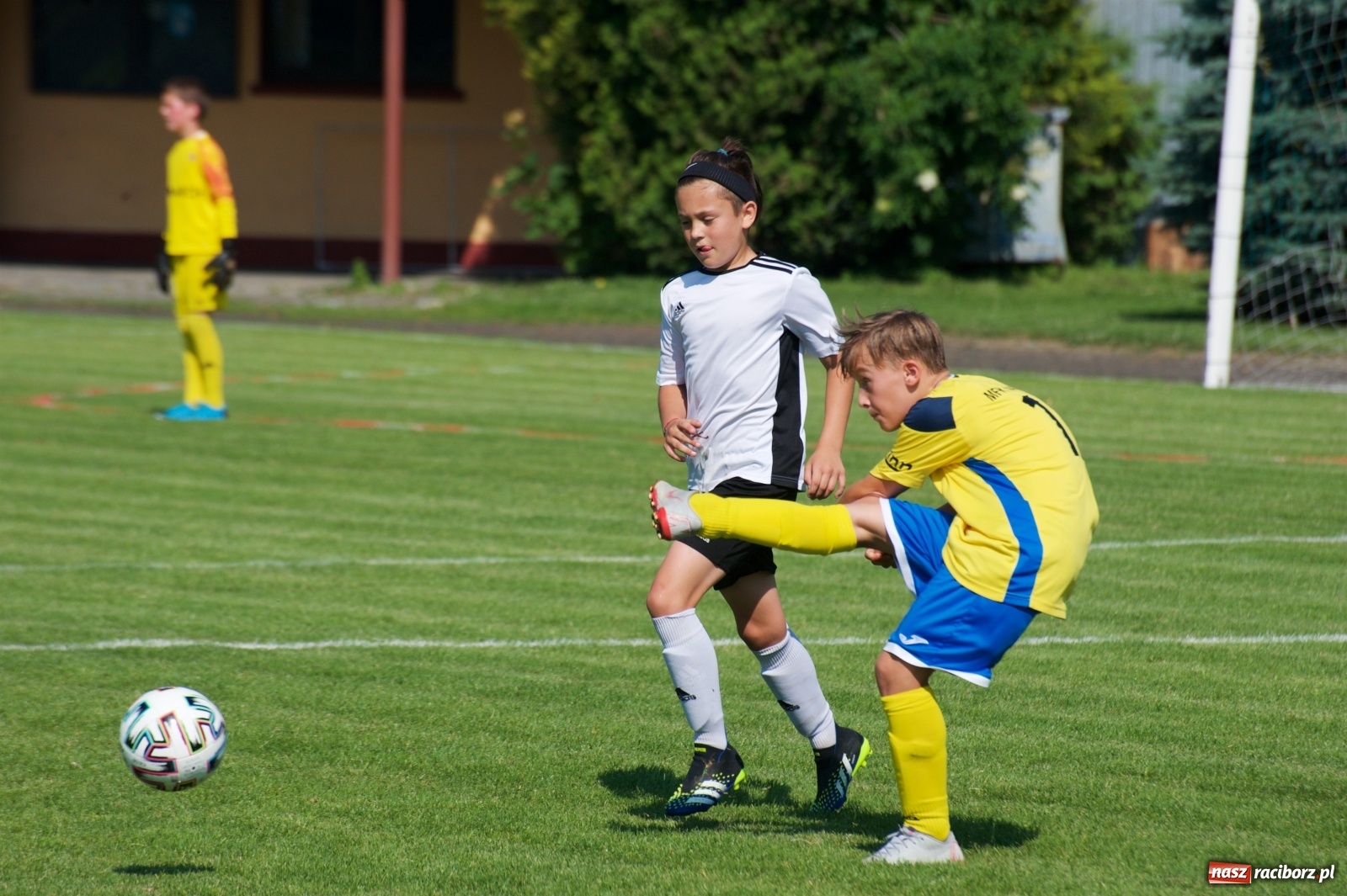 Zdjęcie w galerii na portalu naszraciborz.pl: Tworków Cup. Sportowa walka rocznika 2010 [FOTO] wiadomości z regionu