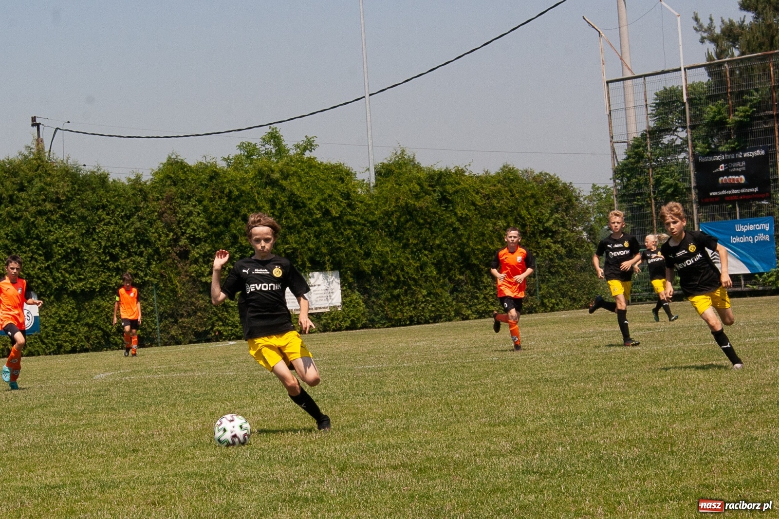 Zdjęcie w galerii na portalu naszraciborz.pl: Akademia BVB zwycięzcą IV turnieju im. Huberta Kostki [FOTO] wiadomości z regionu