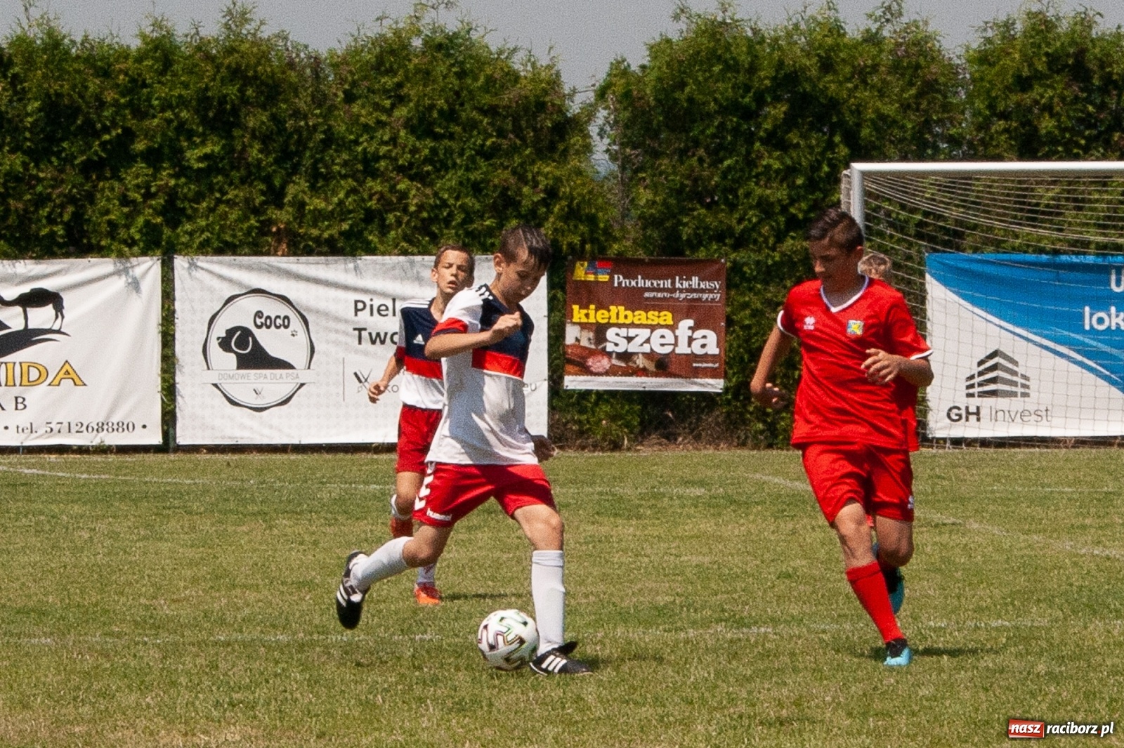 Zdjęcie w galerii na portalu naszraciborz.pl: Akademia BVB zwycięzcą IV turnieju im. Huberta Kostki [FOTO] wiadomości z regionu