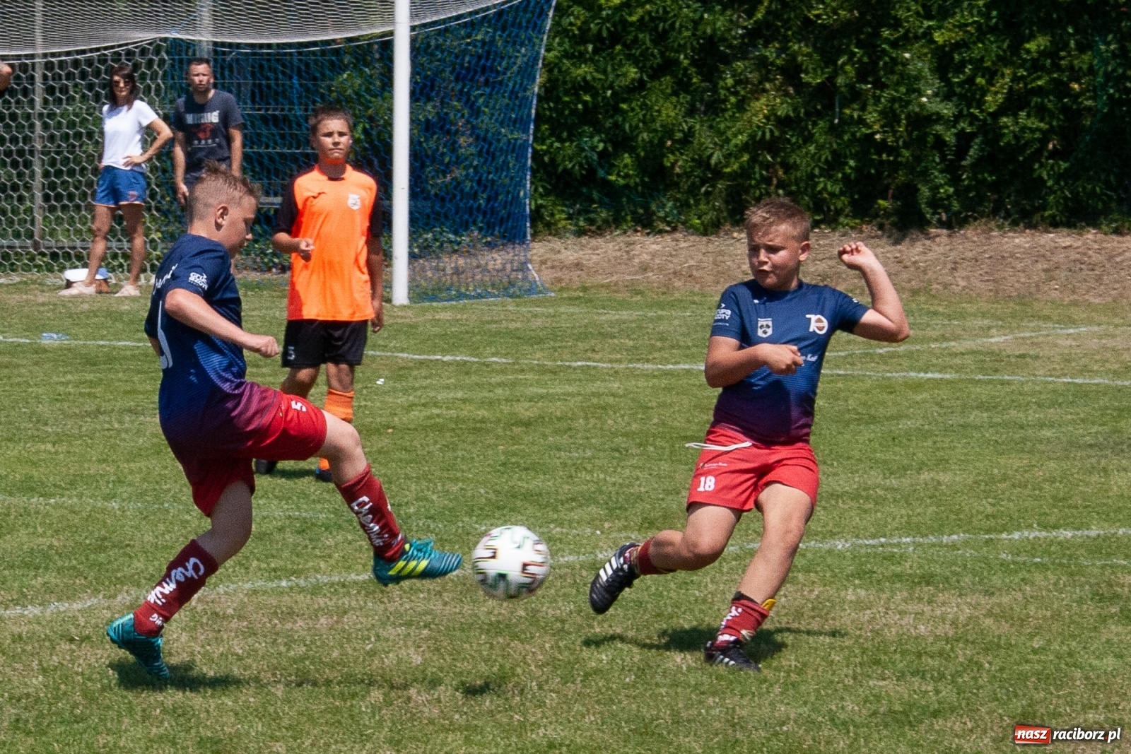 Zdjęcie w galerii na portalu naszraciborz.pl: Akademia BVB zwycięzcą IV turnieju im. Huberta Kostki [FOTO] wiadomości z regionu