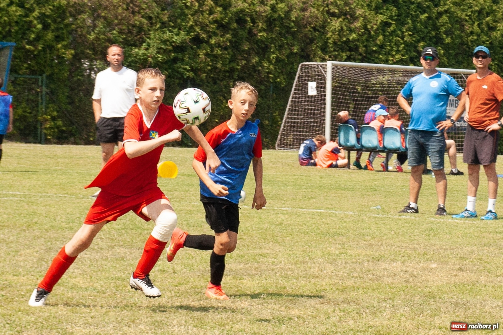 Zdjęcie w galerii na portalu naszraciborz.pl: Akademia BVB zwycięzcą IV turnieju im. Huberta Kostki [FOTO] wiadomości z regionu