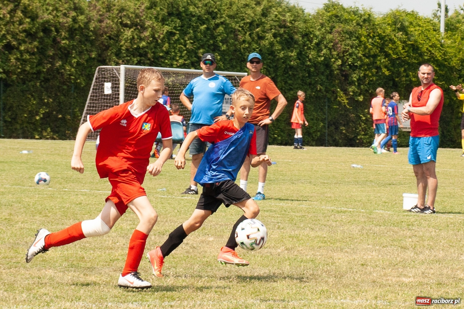 Zdjęcie w galerii na portalu naszraciborz.pl: Akademia BVB zwycięzcą IV turnieju im. Huberta Kostki [FOTO] wiadomości z regionu