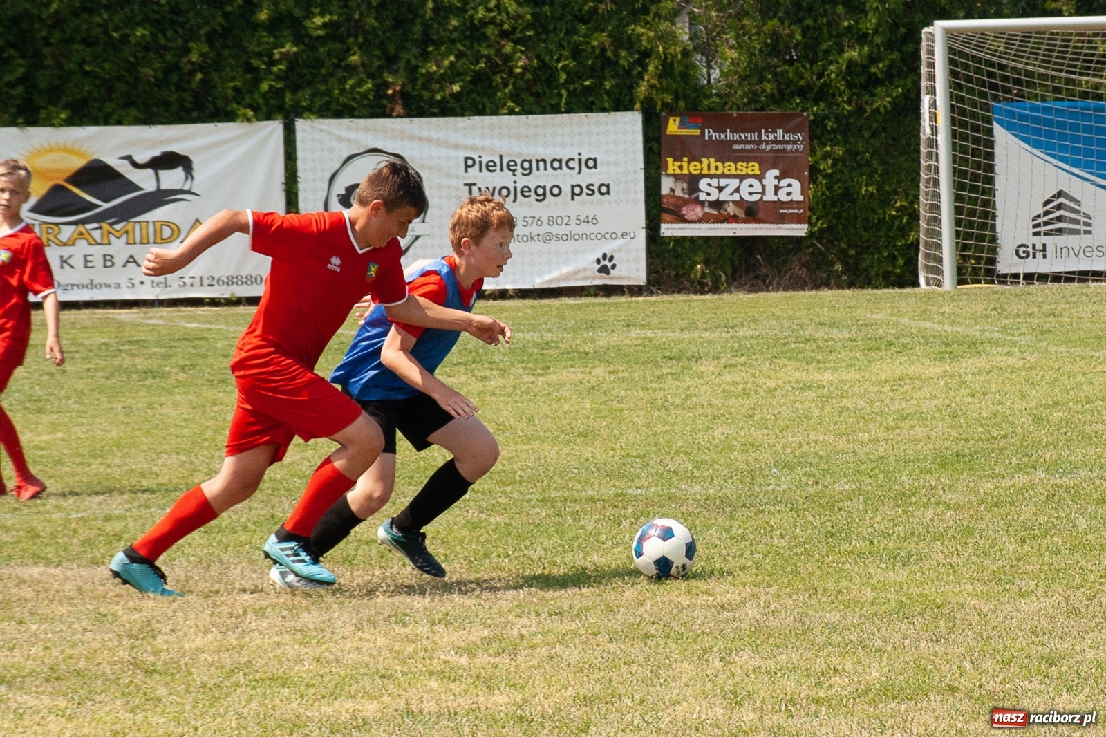 Zdjęcie w galerii na portalu naszraciborz.pl: Akademia BVB zwycięzcą IV turnieju im. Huberta Kostki [FOTO] wiadomości z regionu