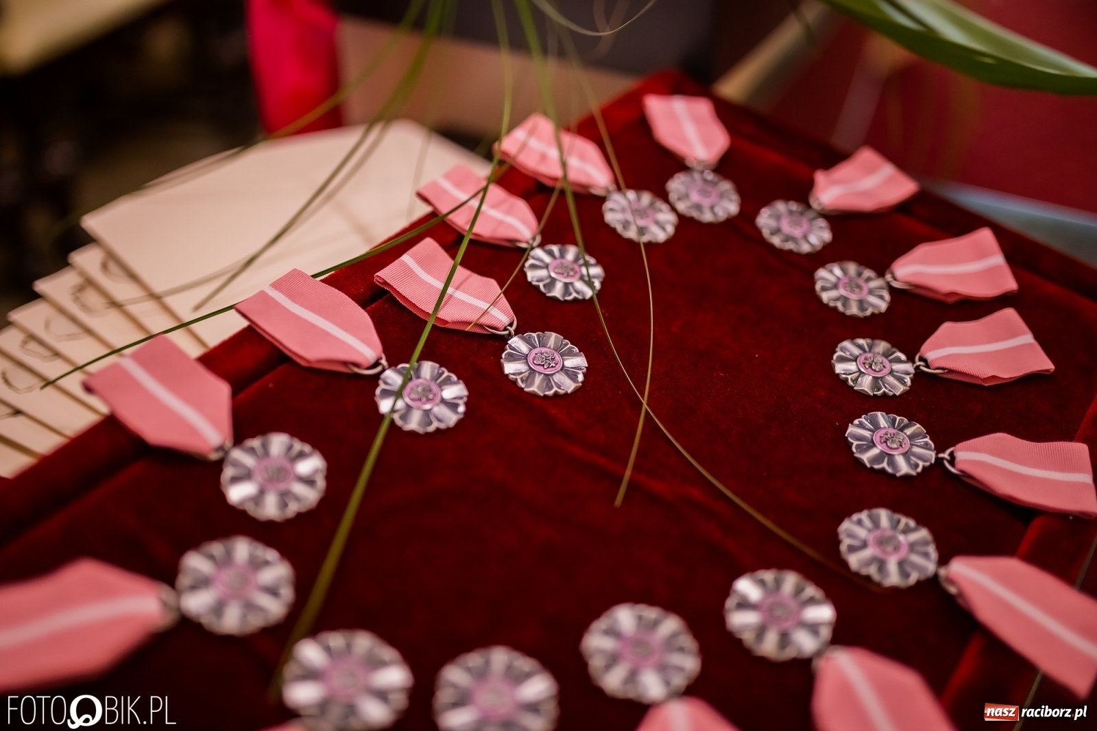 Zdjęcie w galerii na portalu naszraciborz.pl: Pół wieku razem. Złote Gody w raciborskim USC [FOTO i WIDEO] wiadomości z regionu