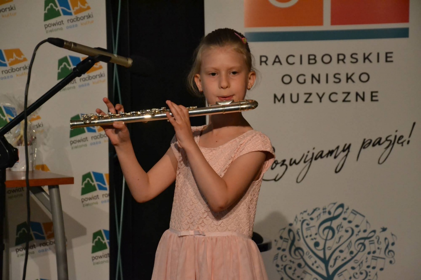 Zdjęcie w galerii na portalu naszraciborz.pl: Ognisko muzyczne zakończyło rok szkolny na zamku wiadomości z regionu