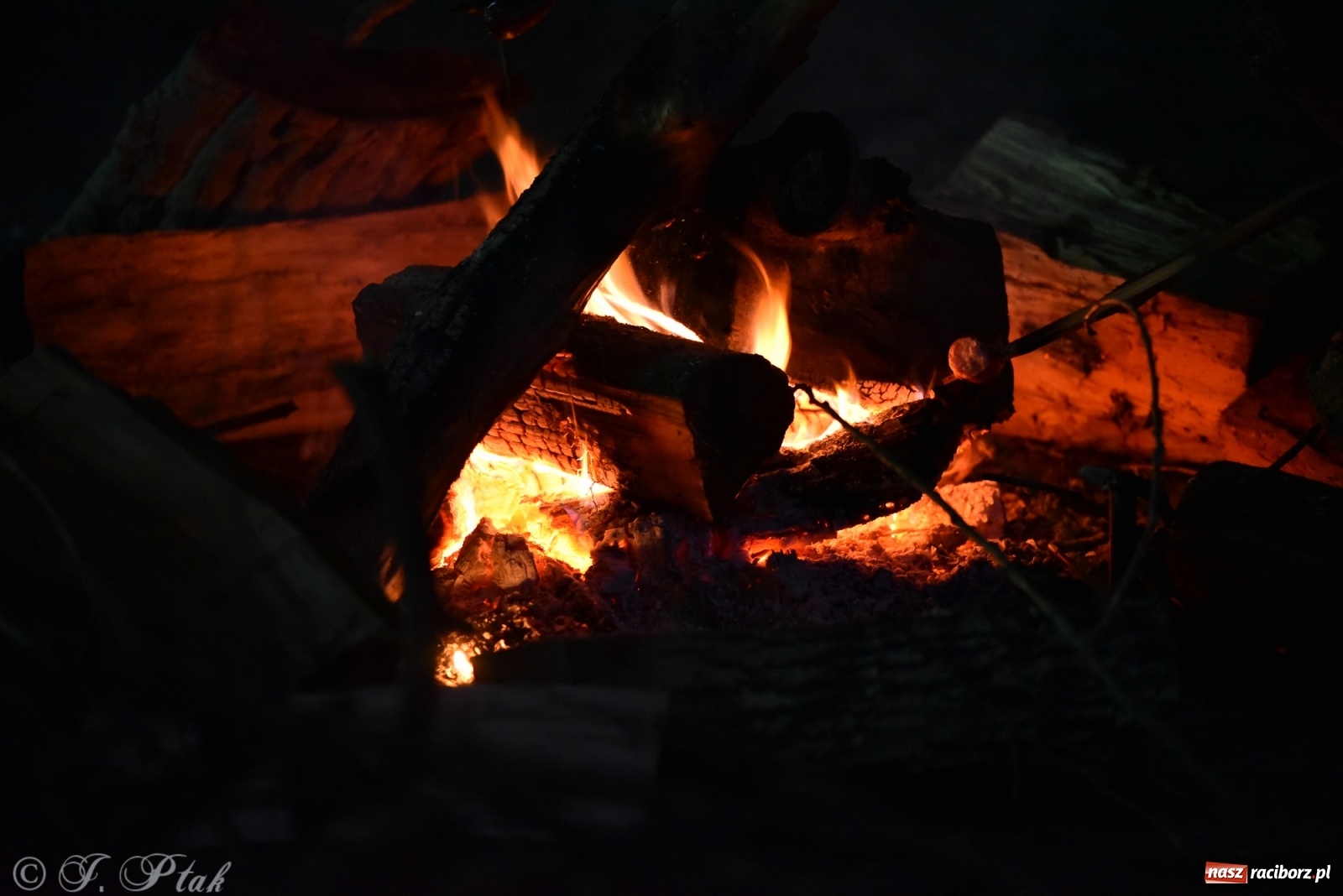 Zdjęcie w galerii na portalu naszraciborz.pl: Około czterdzieści pływadeł wystartuje jutro spod zamku [WIDEO] wiadomości z regionu