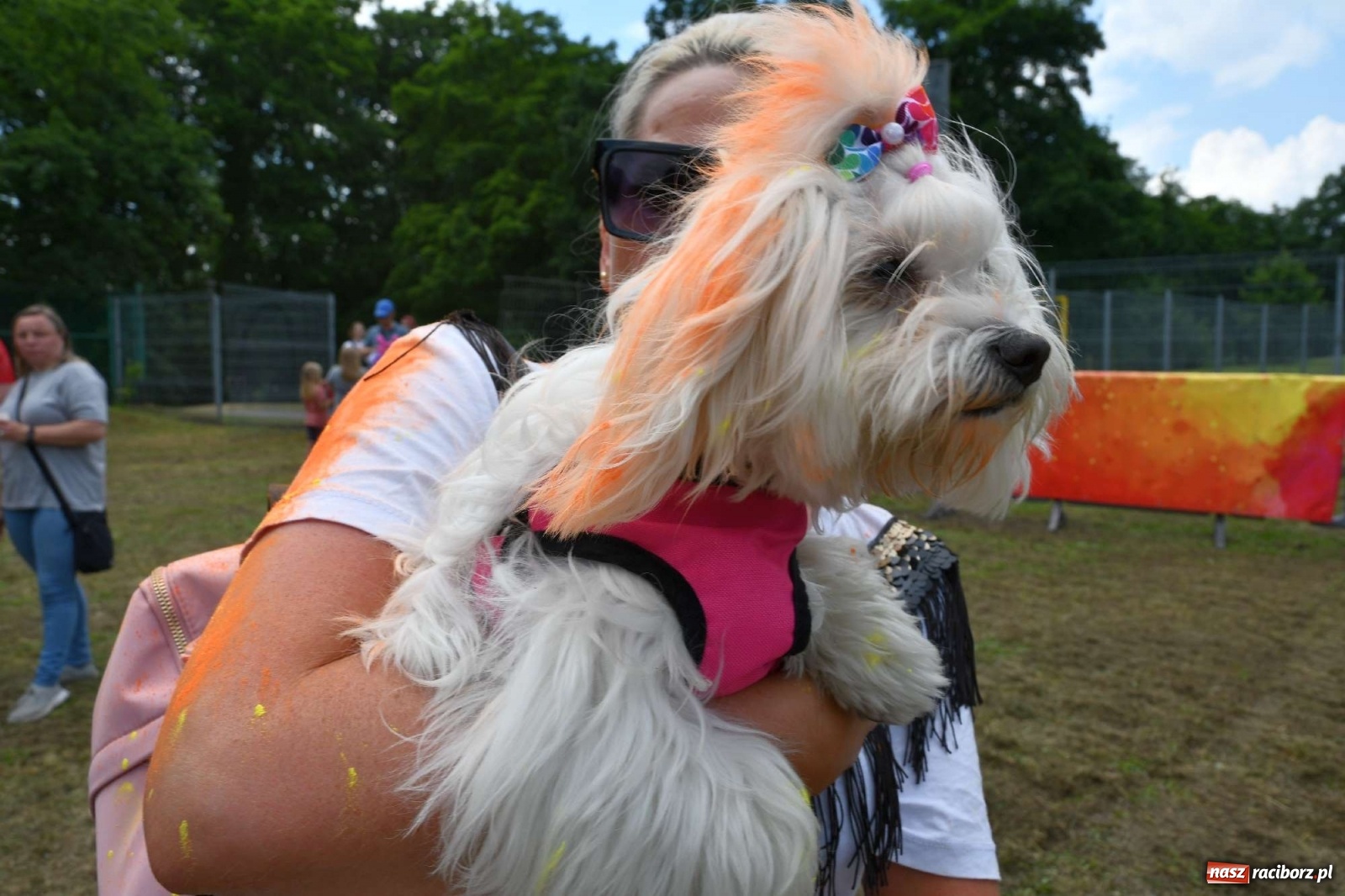 Zdjęcie w galerii na portalu naszraciborz.pl: Holi Święto Kolorów w Raciborzu wiadomości z regionu
