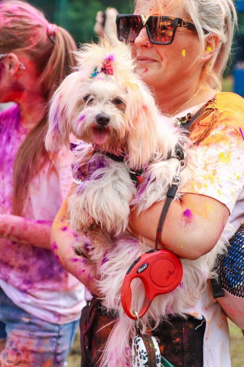 Zdjęcie w galerii na portalu naszraciborz.pl: Raciborzanie zanurkowali w kolorach. Poszukajcie się w galerii [FOTO] wiadomości z regionu