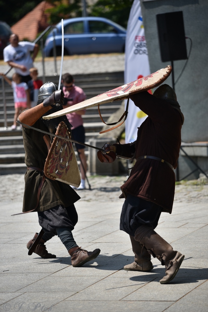 Zdjęcie w galerii na portalu naszraciborz.pl: Festiwal Górnej Odry przeniósł się do parku m. Roth wiadomości z regionu