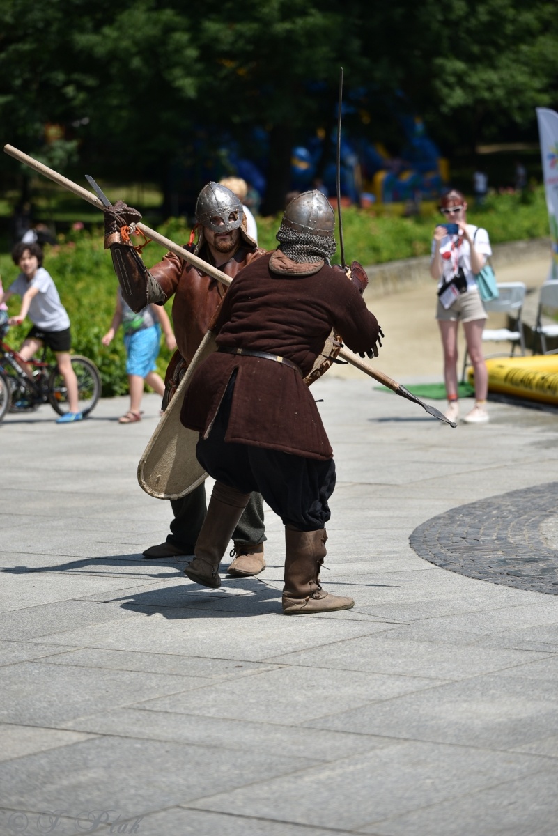 Zdjęcie w galerii na portalu naszraciborz.pl: Festiwal Górnej Odry przeniósł się do parku m. Roth wiadomości z regionu