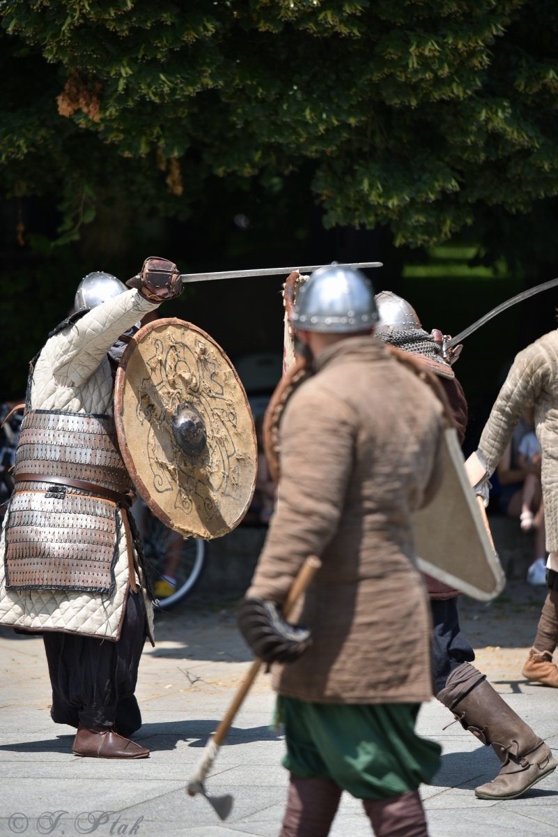 Zdjęcie w galerii na portalu naszraciborz.pl: Festiwal Górnej Odry przeniósł się do parku m. Roth wiadomości z regionu