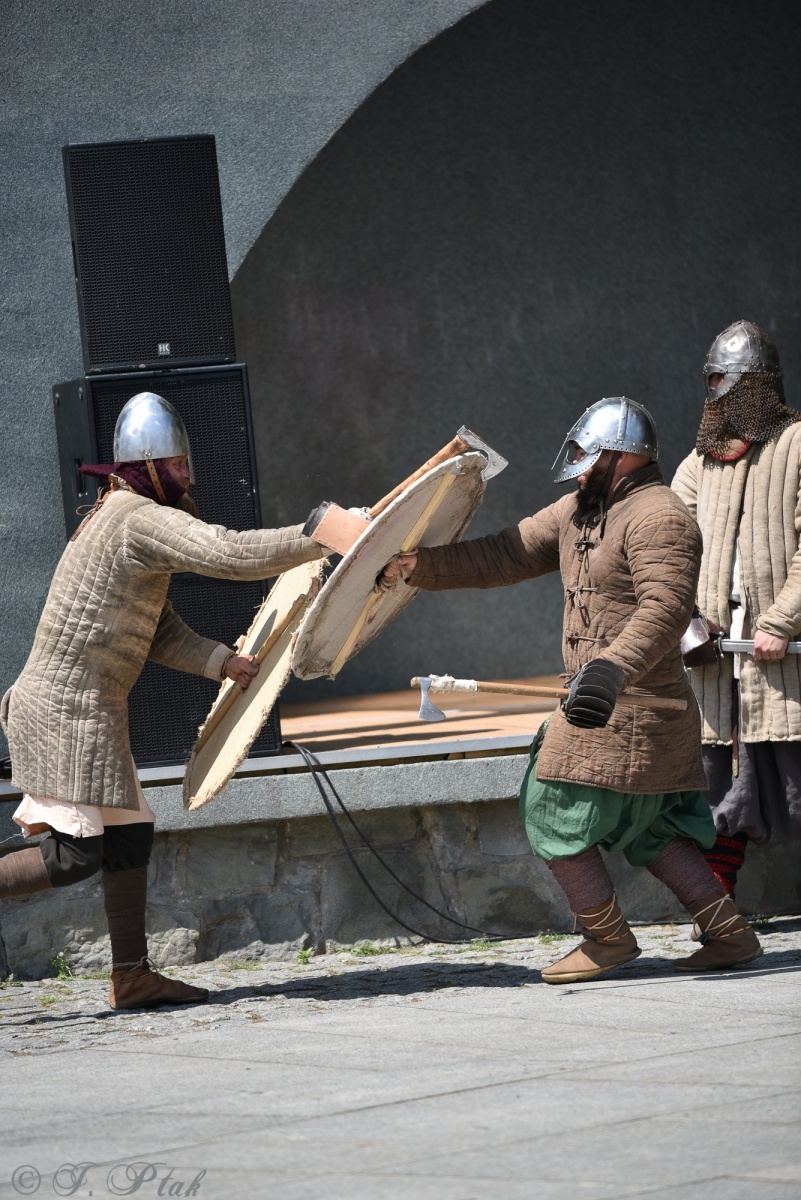 Zdjęcie w galerii na portalu naszraciborz.pl: Festiwal Górnej Odry przeniósł się do parku m. Roth wiadomości z regionu