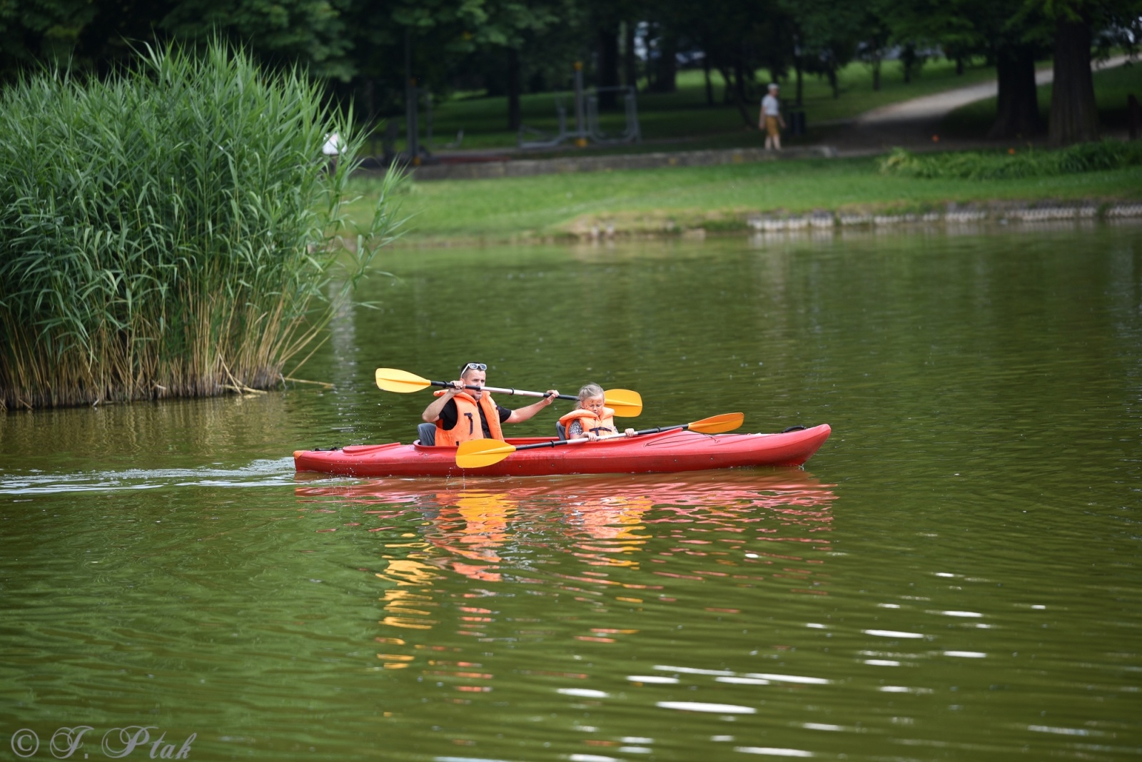 Zdjęcie w galerii na portalu naszraciborz.pl: Festiwal Górnej Odry przeniósł się do parku m. Roth wiadomości z regionu