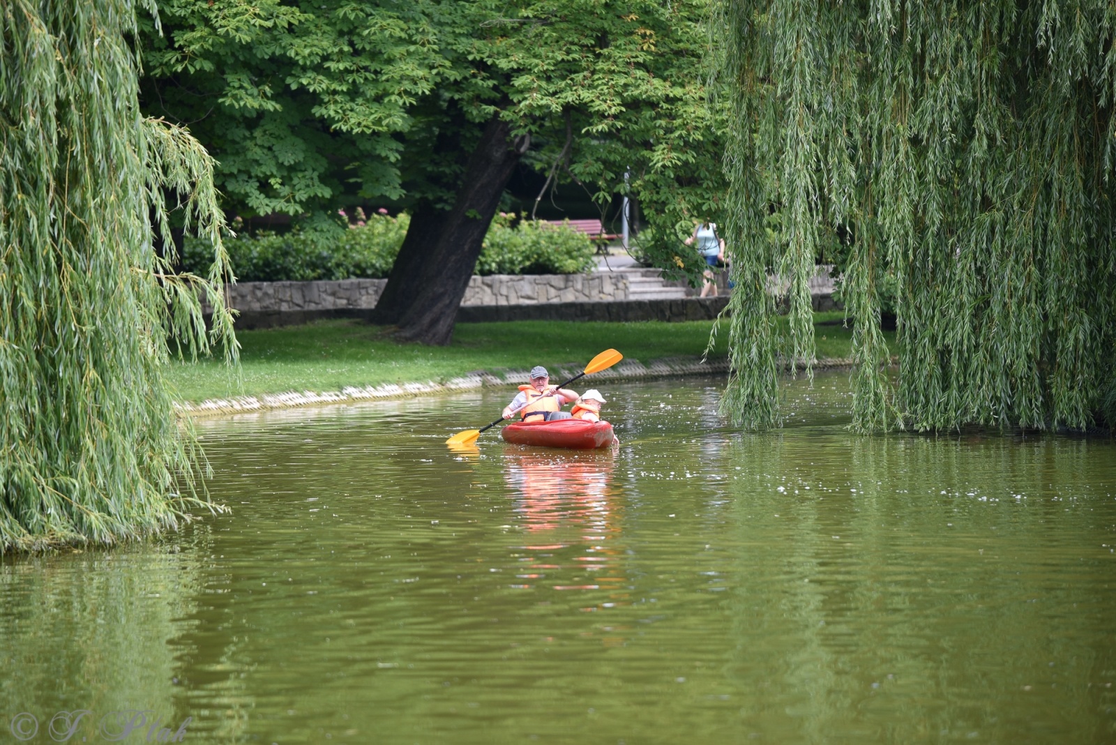 Zdjęcie w galerii na portalu naszraciborz.pl: Festiwal Górnej Odry przeniósł się do parku m. Roth wiadomości z regionu