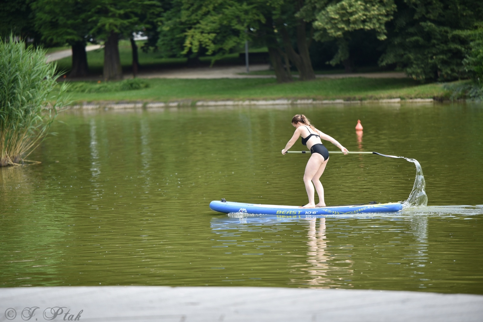 Zdjęcie w galerii na portalu naszraciborz.pl: Festiwal Górnej Odry przeniósł się do parku m. Roth wiadomości z regionu