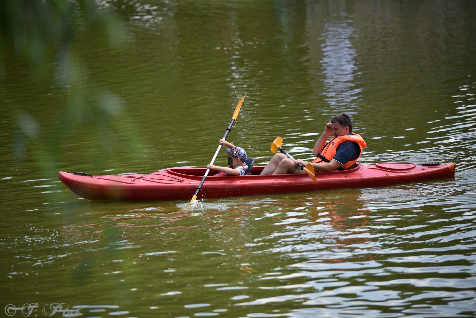 Zdjęcie w galerii na portalu naszraciborz.pl: Festiwal Górnej Odry przeniósł się do parku m. Roth wiadomości z regionu