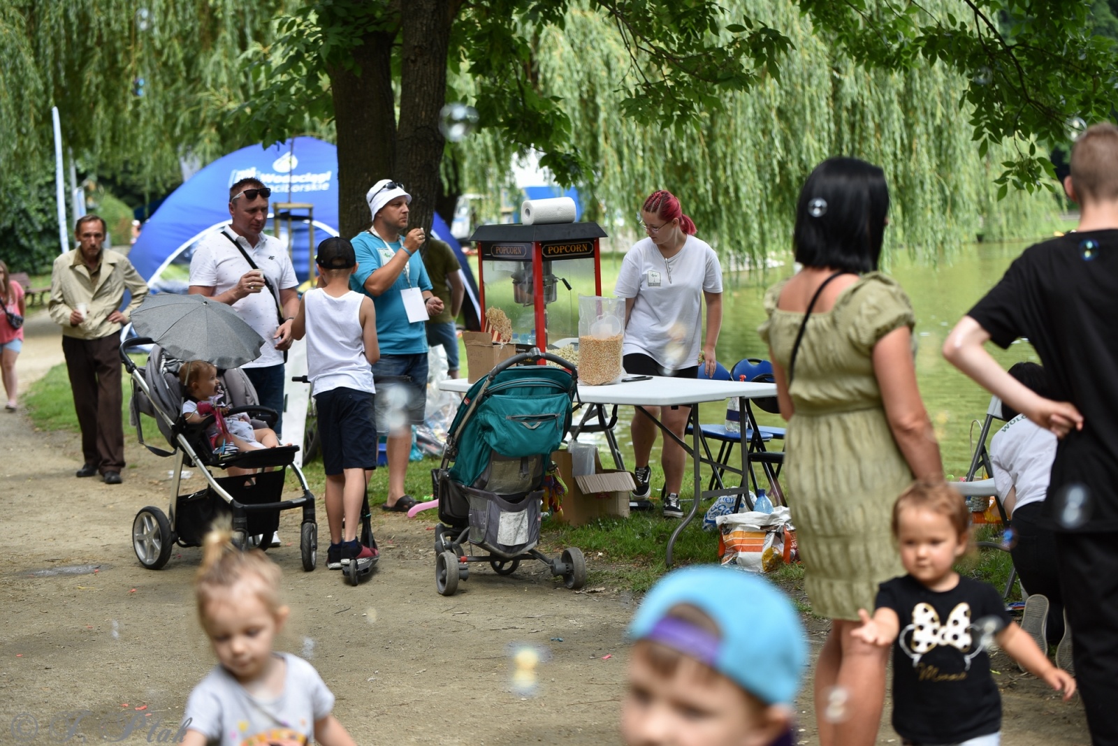 Zdjęcie w galerii na portalu naszraciborz.pl: Festiwal Górnej Odry przeniósł się do parku m. Roth wiadomości z regionu