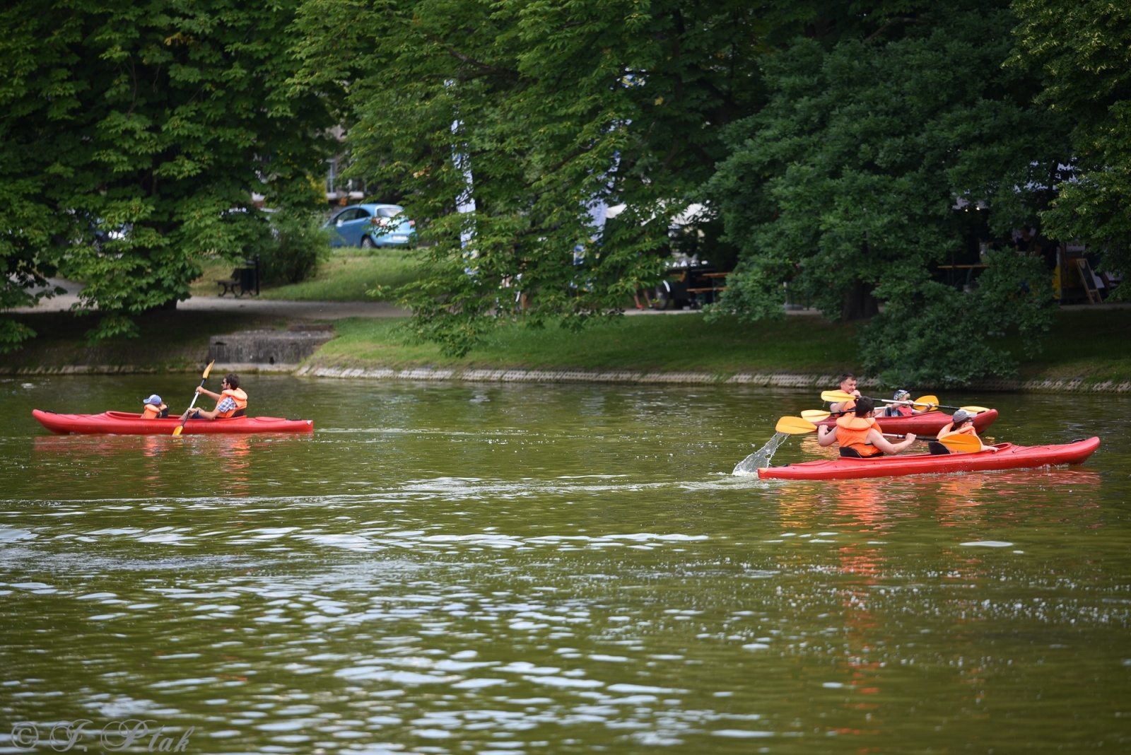 Zdjęcie w galerii na portalu naszraciborz.pl: Festiwal Górnej Odry przeniósł się do parku m. Roth wiadomości z regionu