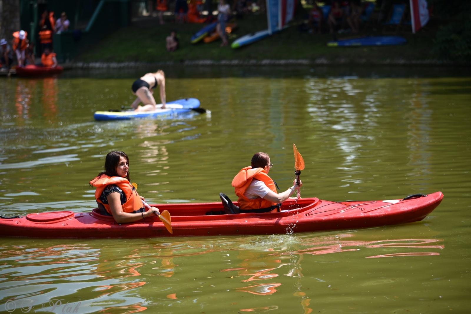 Zdjęcie w galerii na portalu naszraciborz.pl: Festiwal Górnej Odry przeniósł się do parku m. Roth wiadomości z regionu